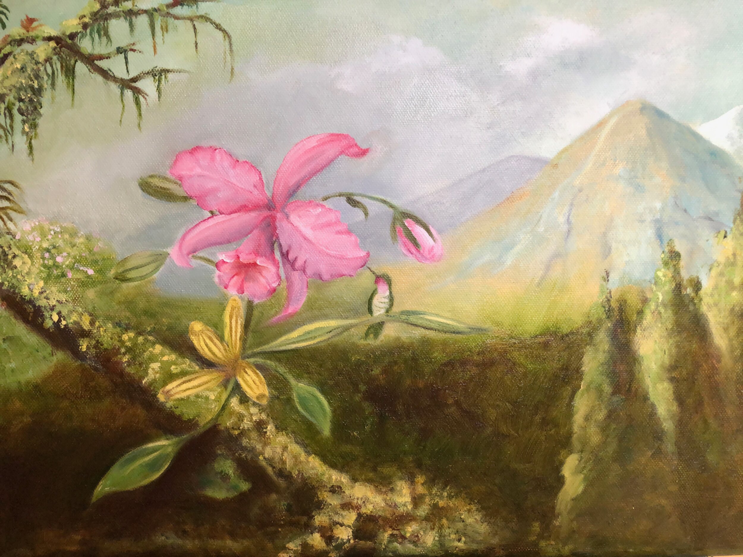 Heade Orchid