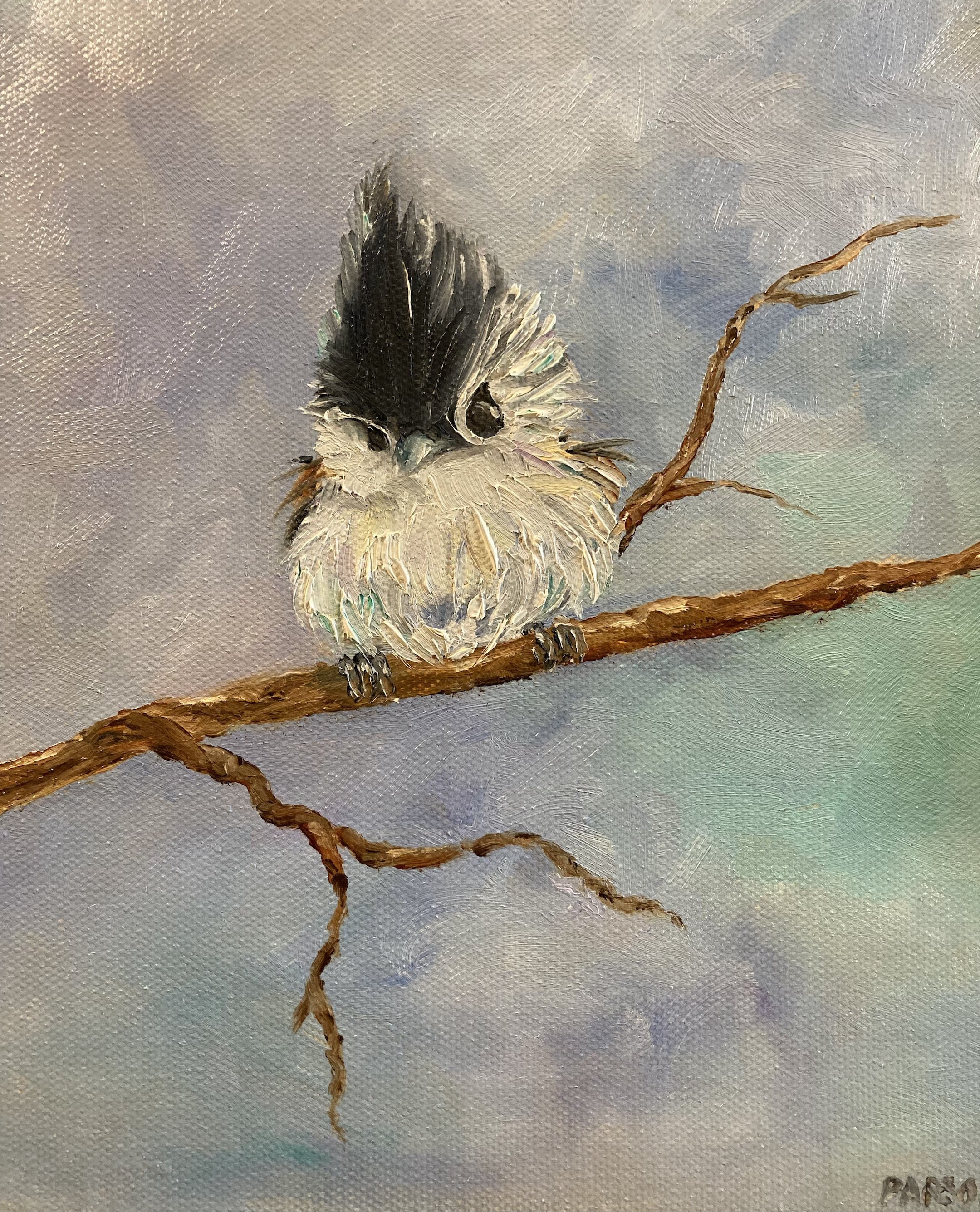 Baby Titmouse.jpeg