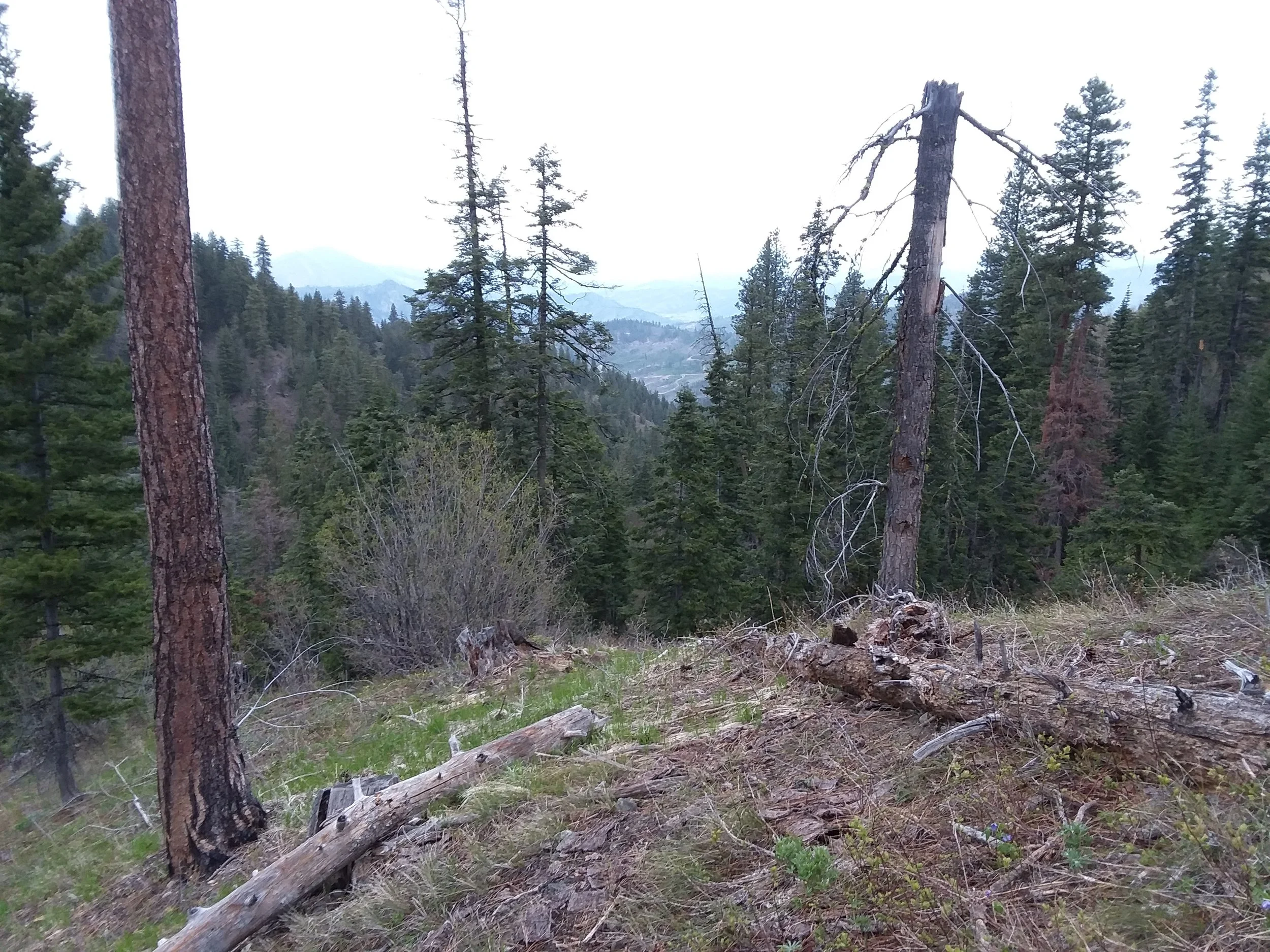 20180505_184414.jpg
