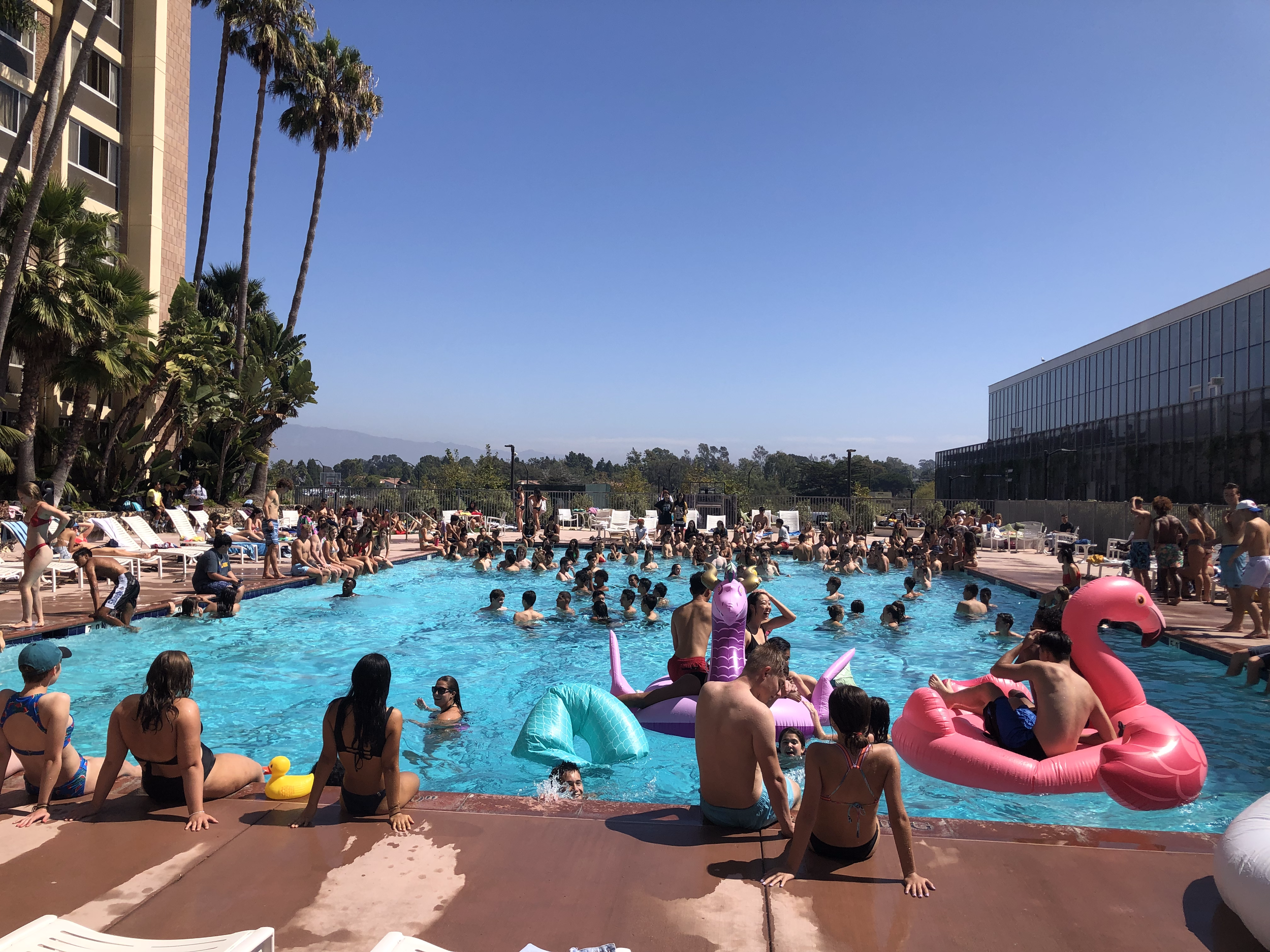 POOL PARTY IN PARADISE