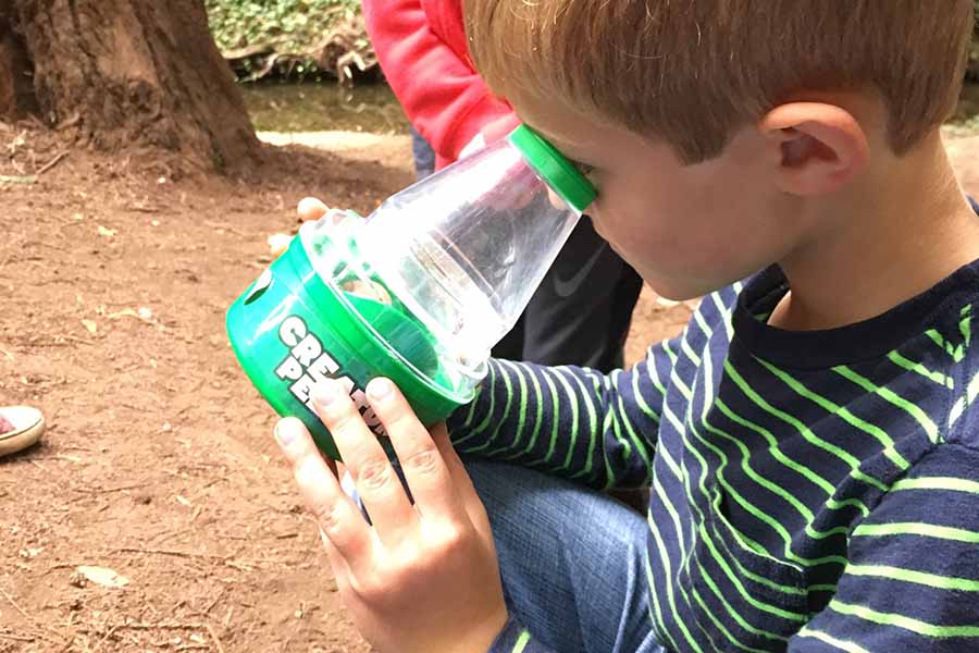 outdoor-therapy-children-camp-marin.jpg