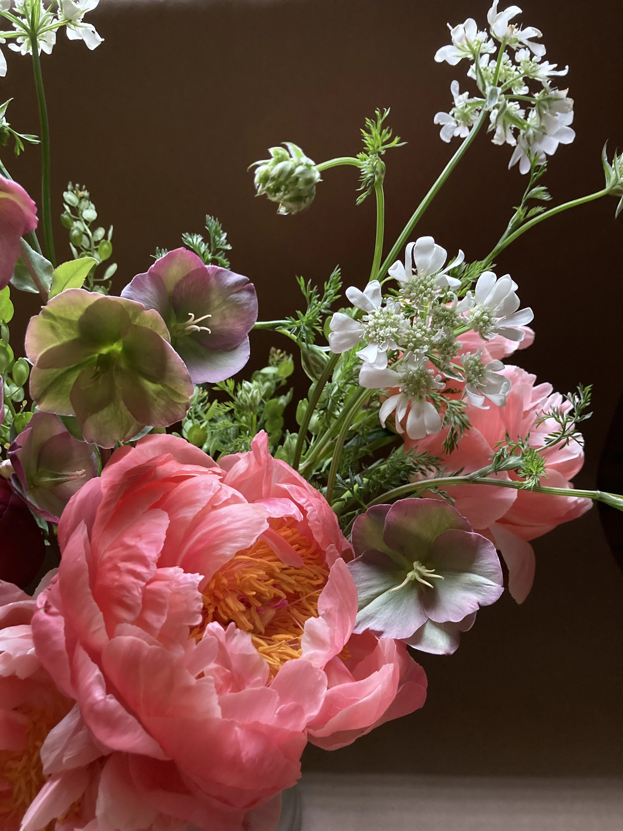 Peony26j.jpg