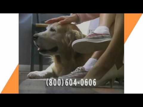 Blue Cross Senior