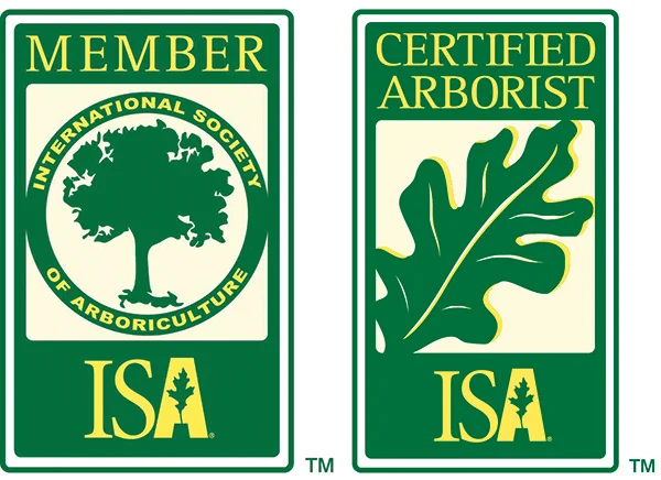 ISA-member-logos.jpg