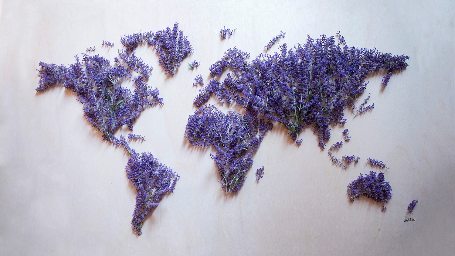 Russian Sage World Map