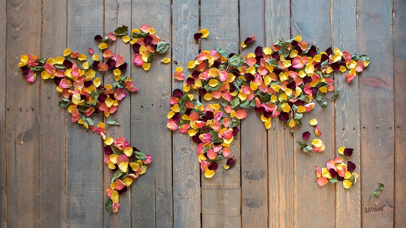 Rose Petals on Palette Wood World Map