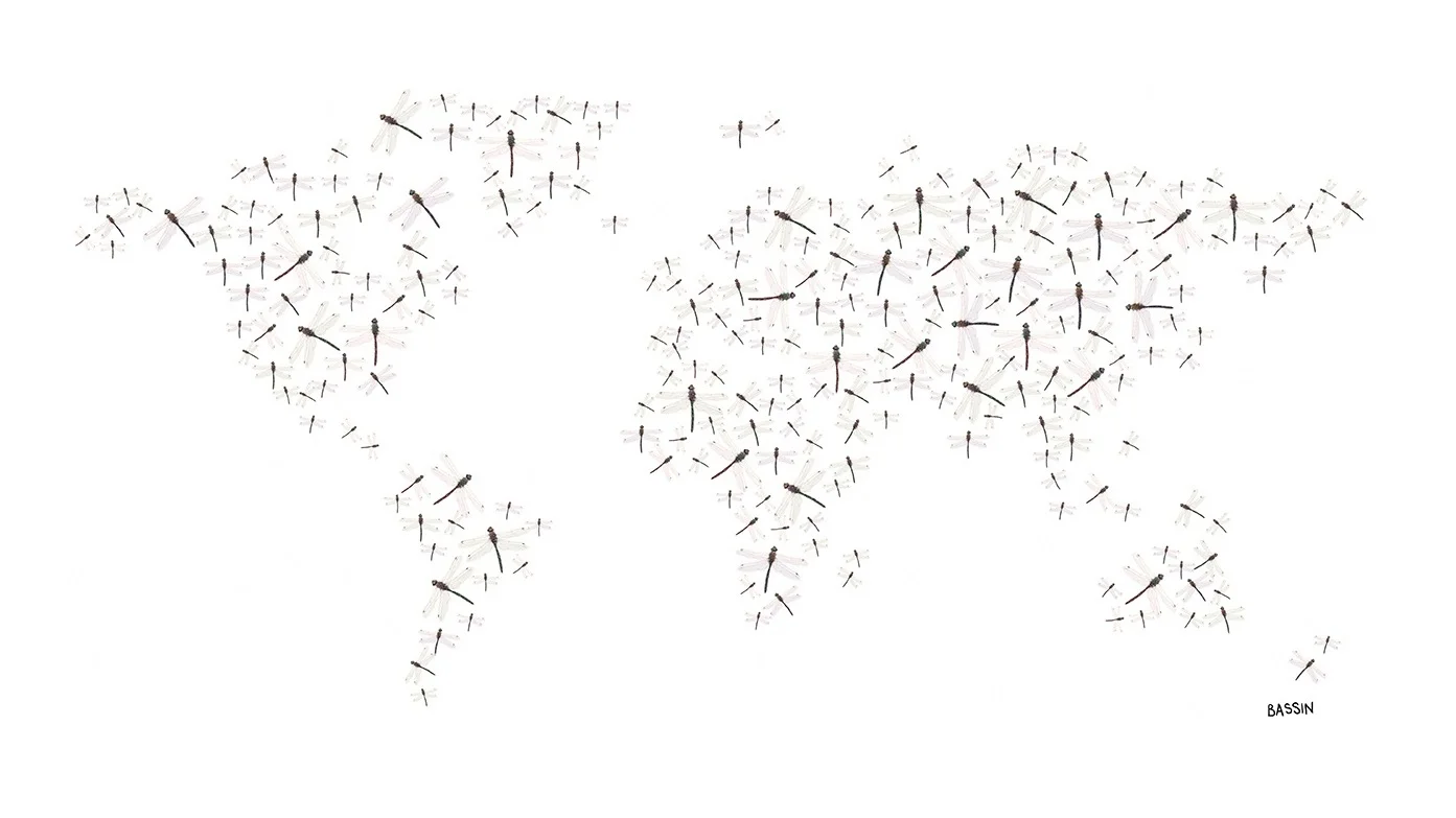Dragonflies World Map