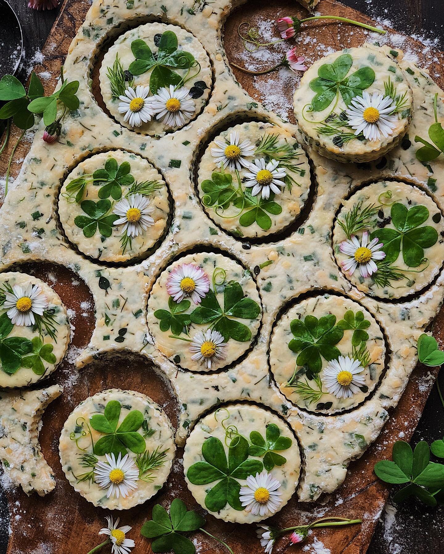 Cheesy herby biscuits loaded with lots of sharp cheddar, dill, chives, and whatever random herbs were in my crisper drawer; decorated with wood sorrel, lawn daisies, dill, and pea tendrils. ⁣
⁣
I don&rsquo;t celebrate St. Patty&rsquo;s Day but right 