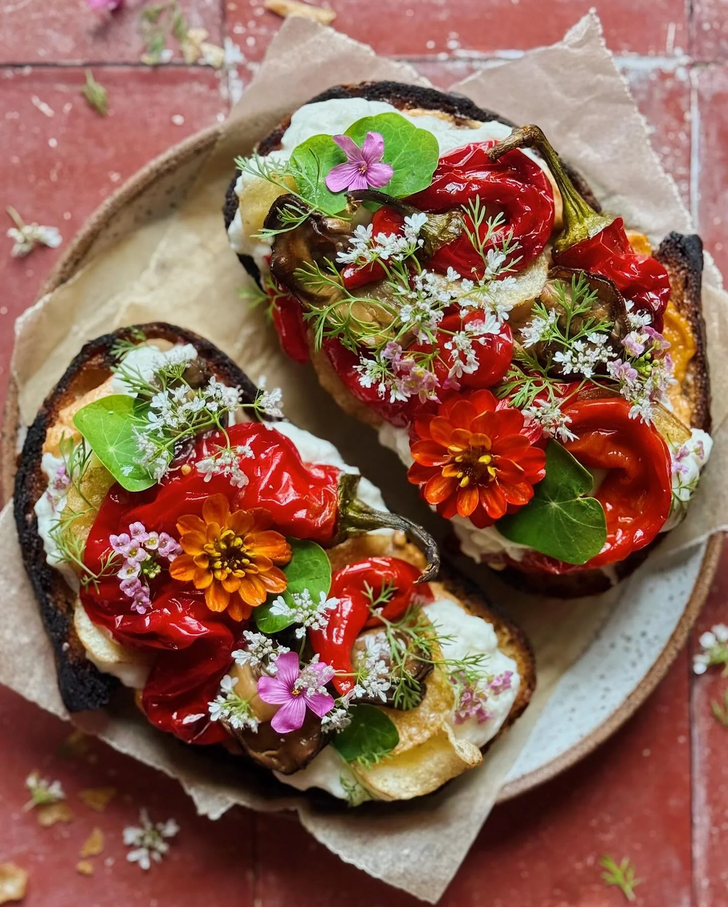 These toasts are all about my newest produce obsession: Jimmy Nardello peppers. Here are slices of sourdough pan-fried in olive oil then slathered with @toom chipotle garlic spread and topped with burrata, roasted Jimmy Nardello peppers, tinned smoke