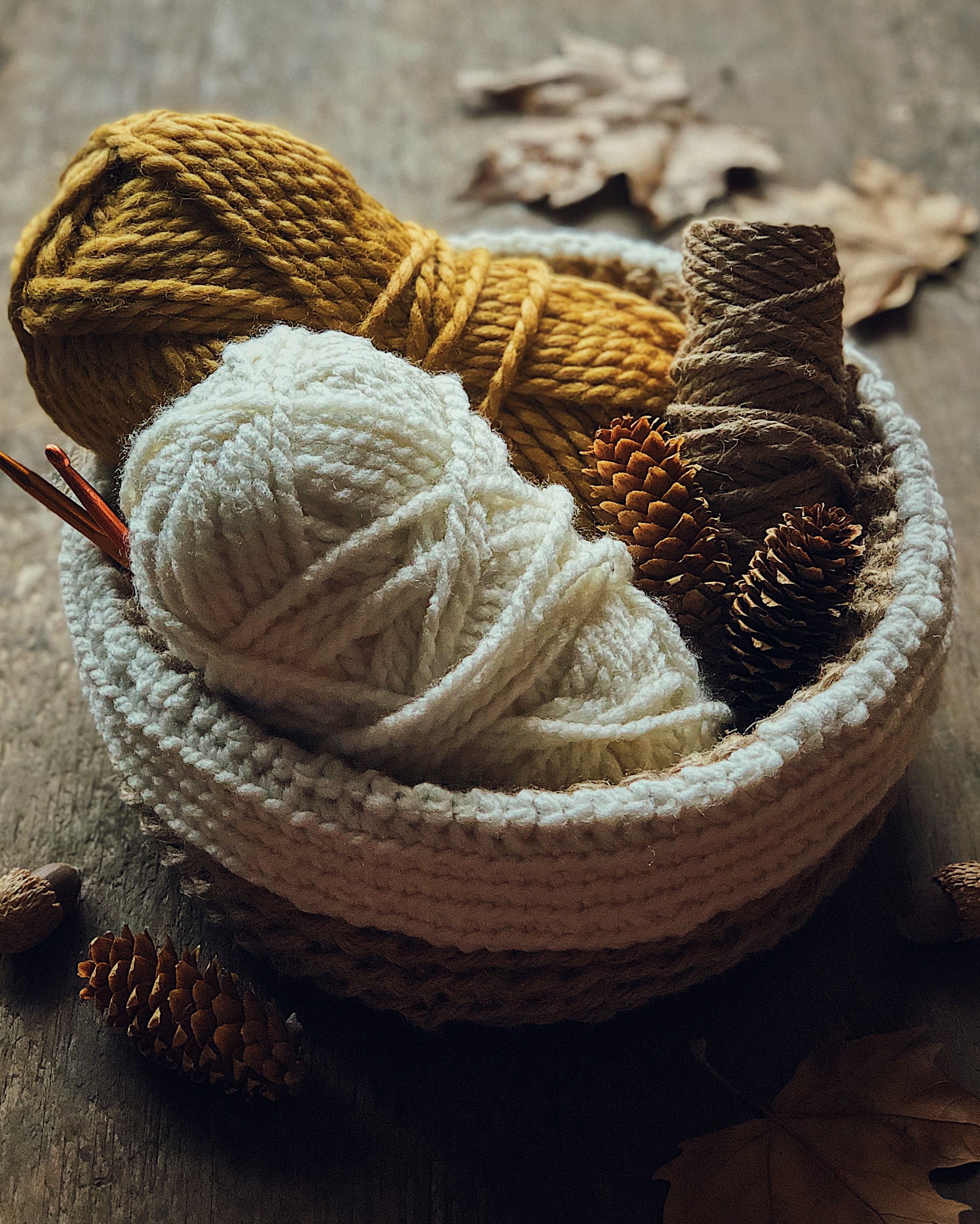 Learning to Crochet in the Round — Lily Morello