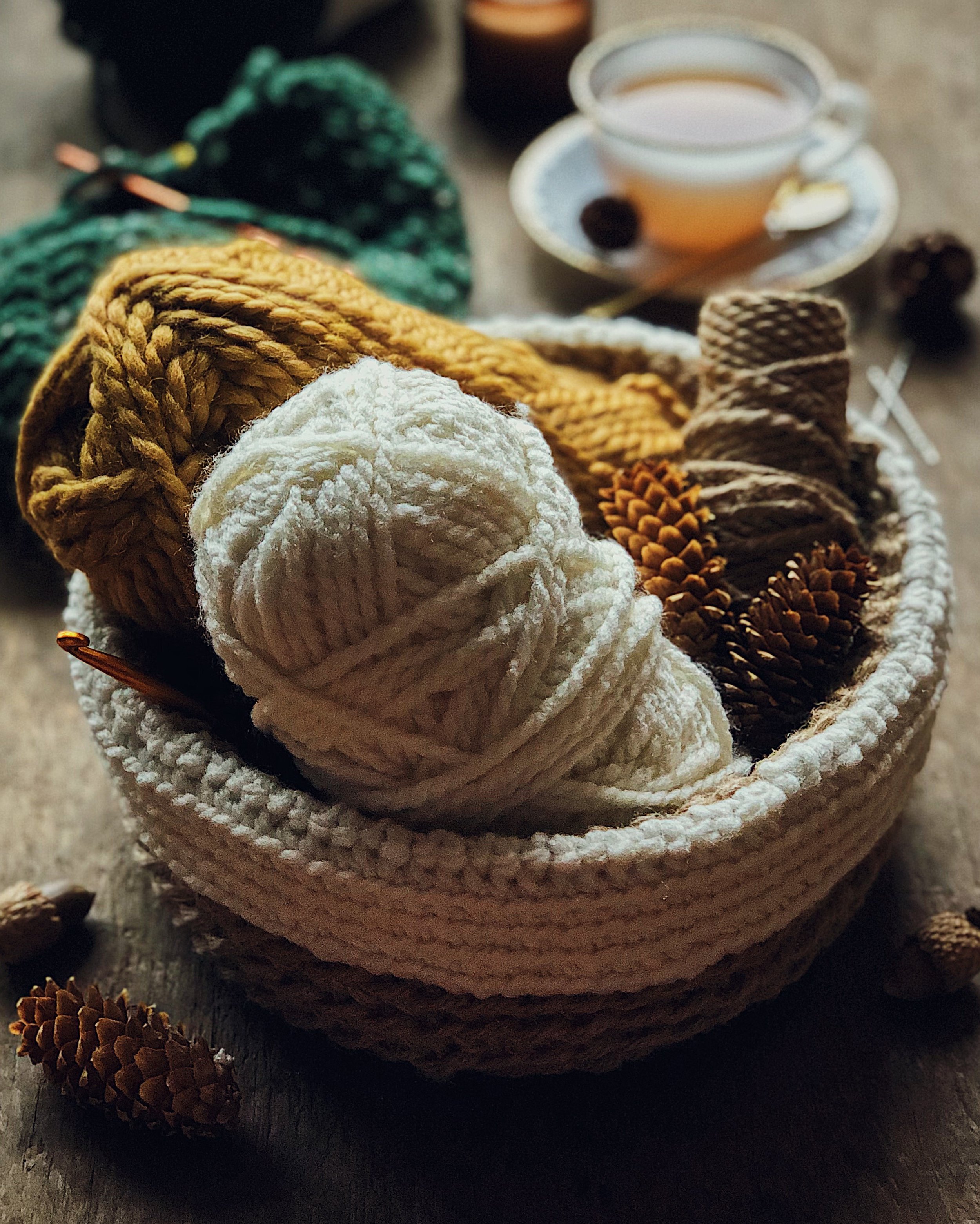 Learning to Crochet in the Round — Lily Morello