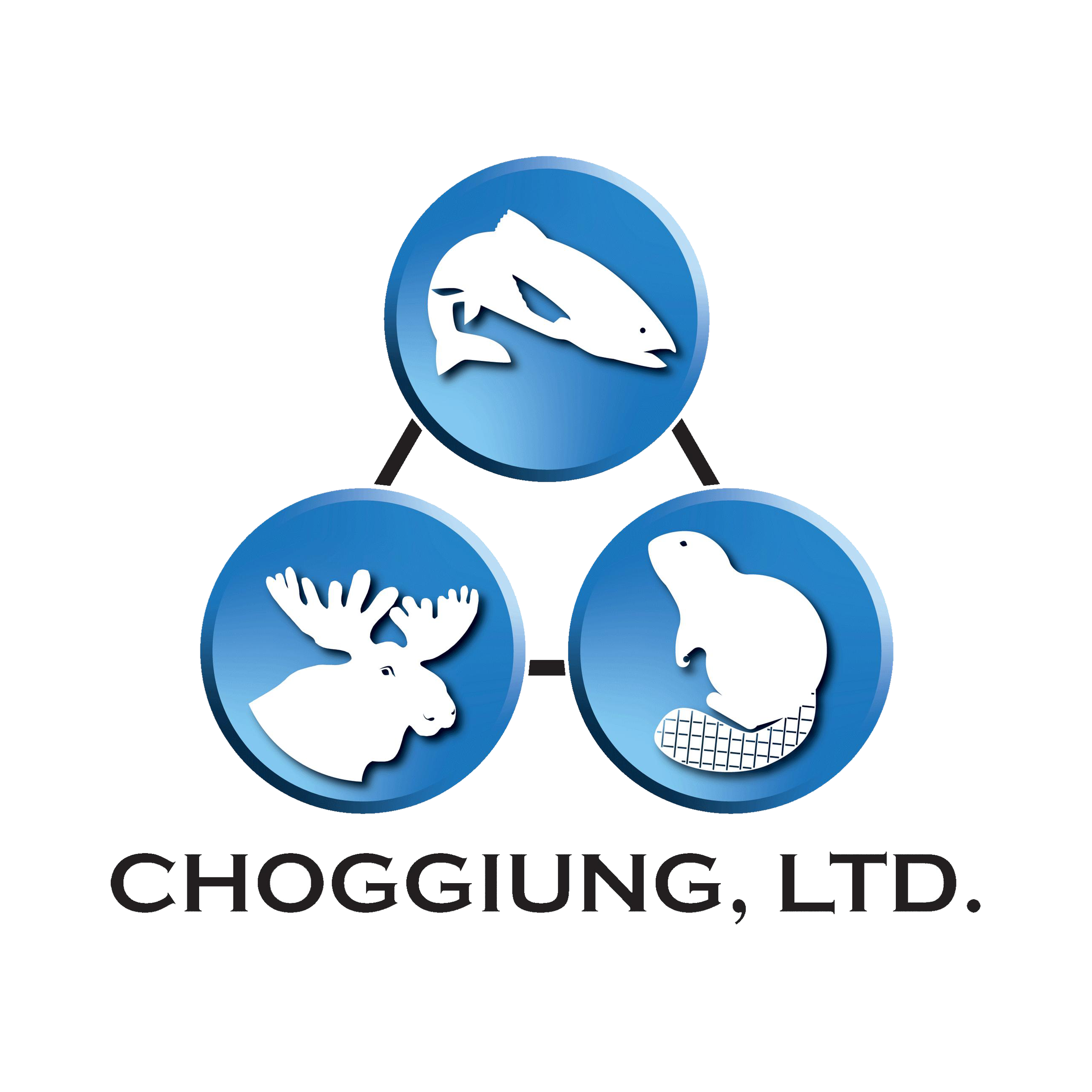 Choggiung Logo Transparent23.png