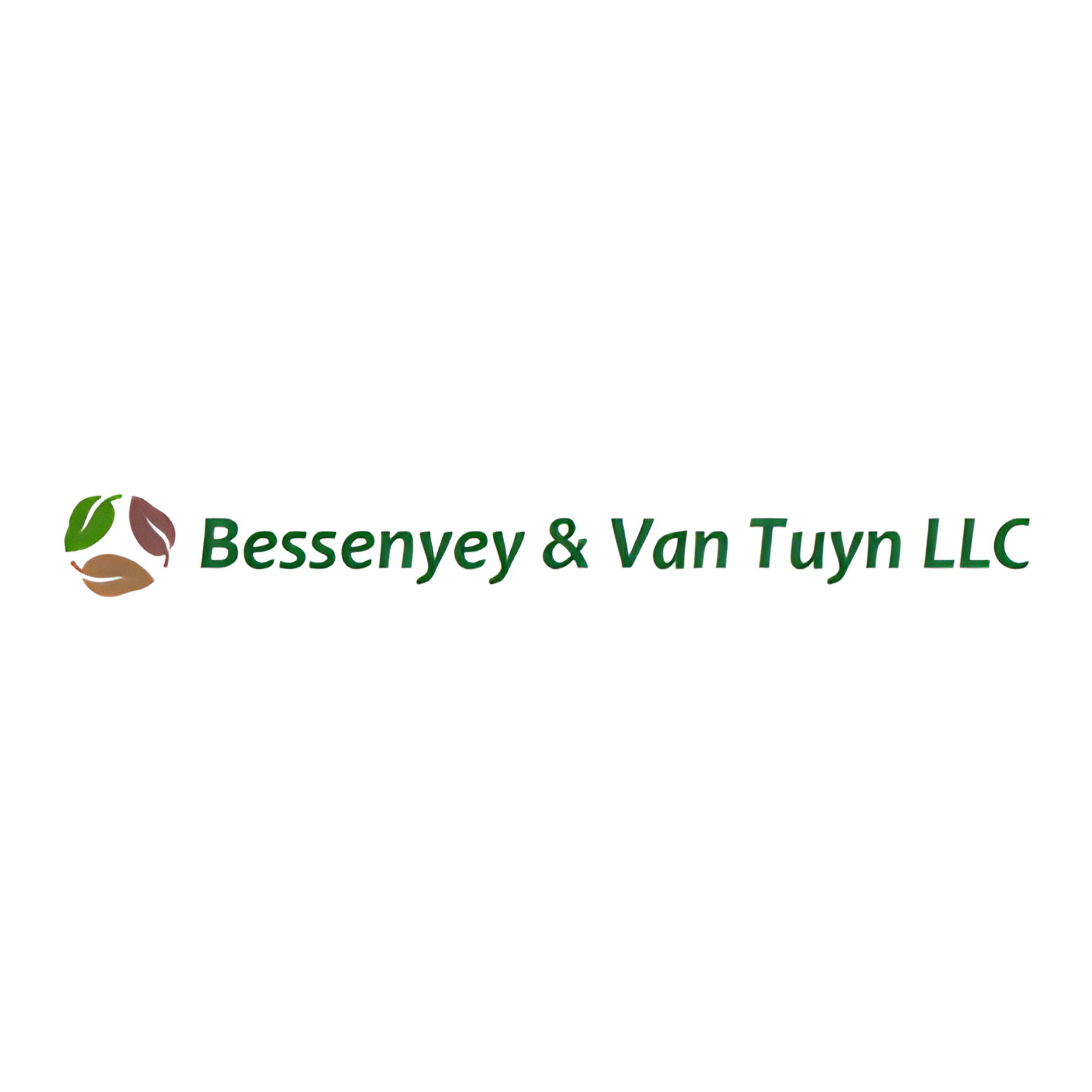 Bessenyey and Van Tuyn Website.png