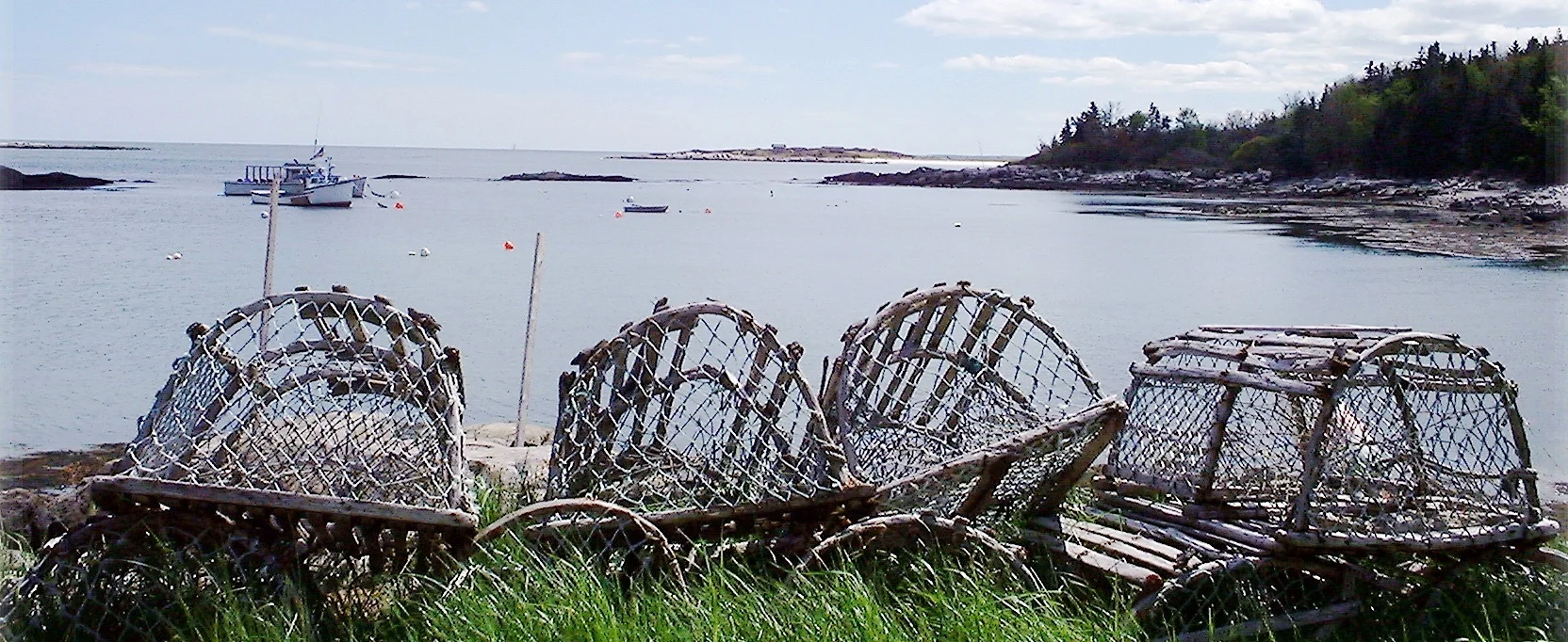 Harbor%2B%2528P%2529%2B2.jpg