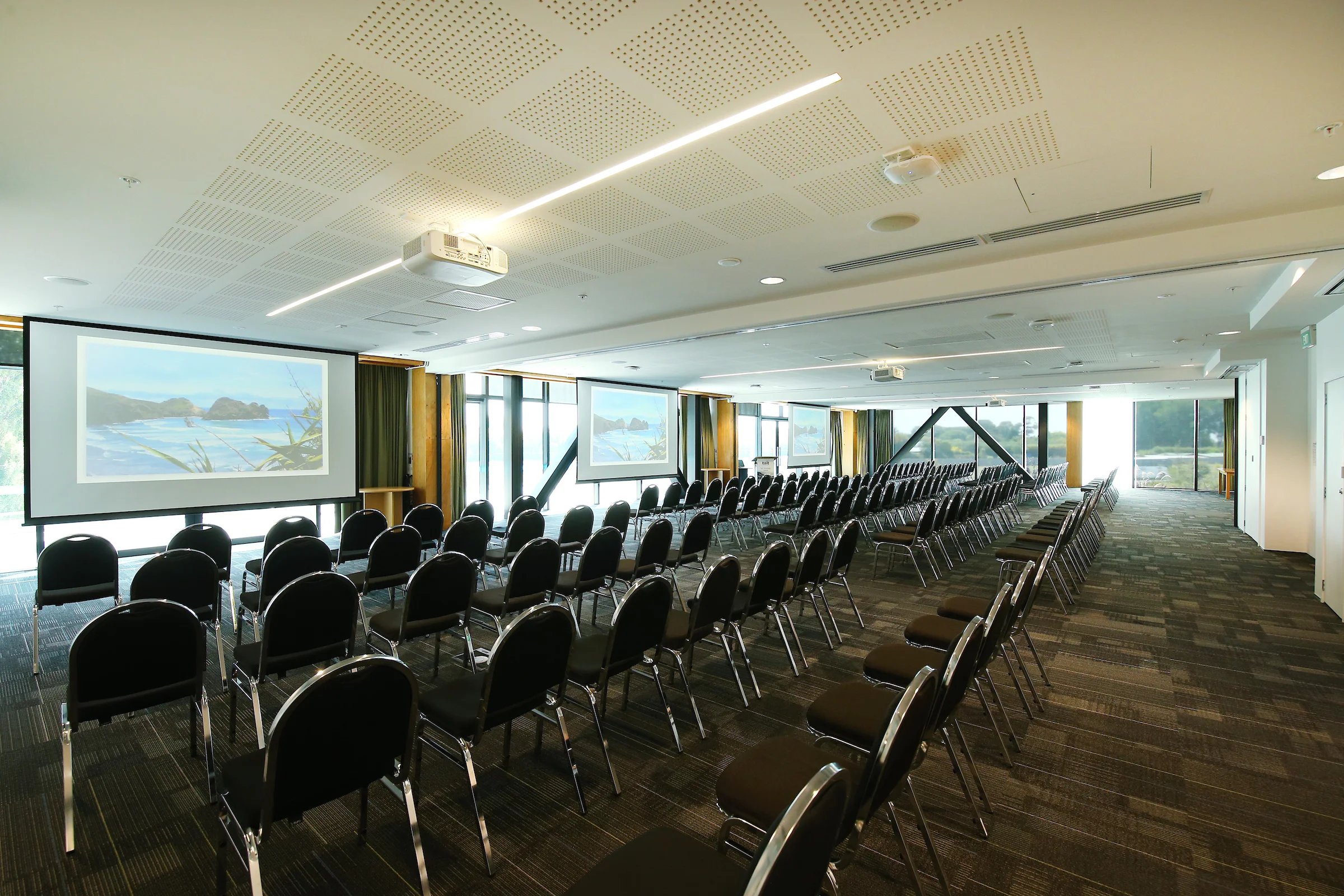 Kauri,Totara, Matai 087 - 360o.jpg