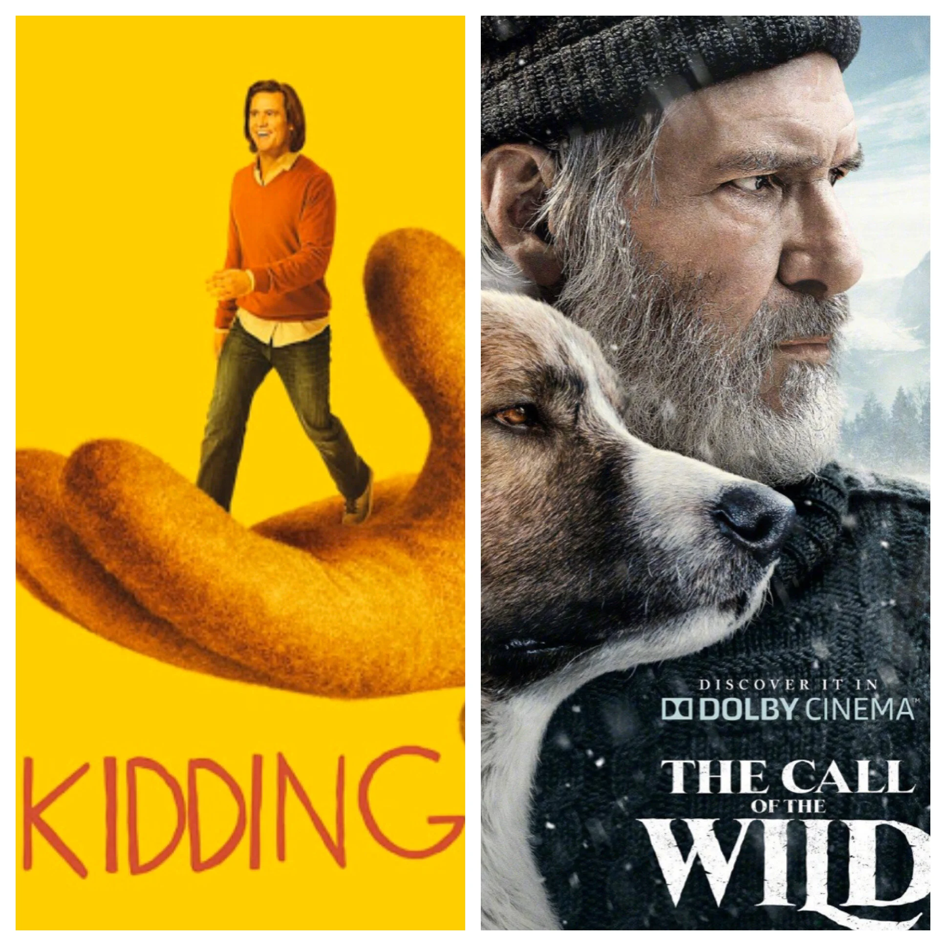 KIDDING &amp; CALL OF THE WILD - Busy Winter!