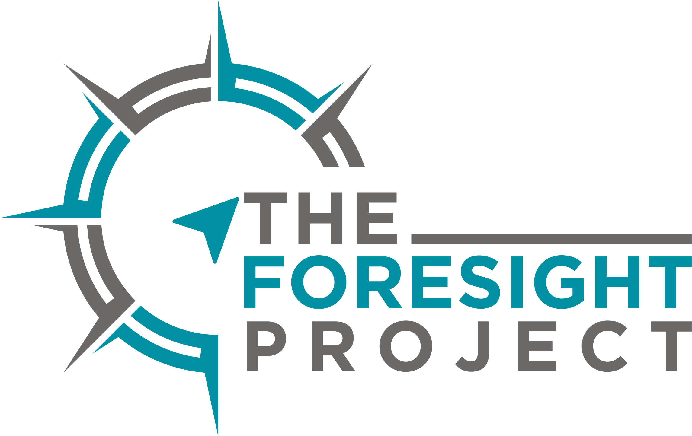 The Foresight Project