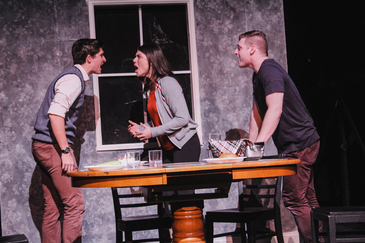 Diana Goodman, Next to Normal