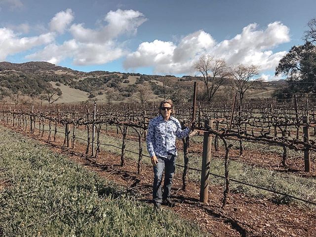 Making our way back to Vancouver but stopping to explore a few beautiful Sonoma Valley wineries on the way.
