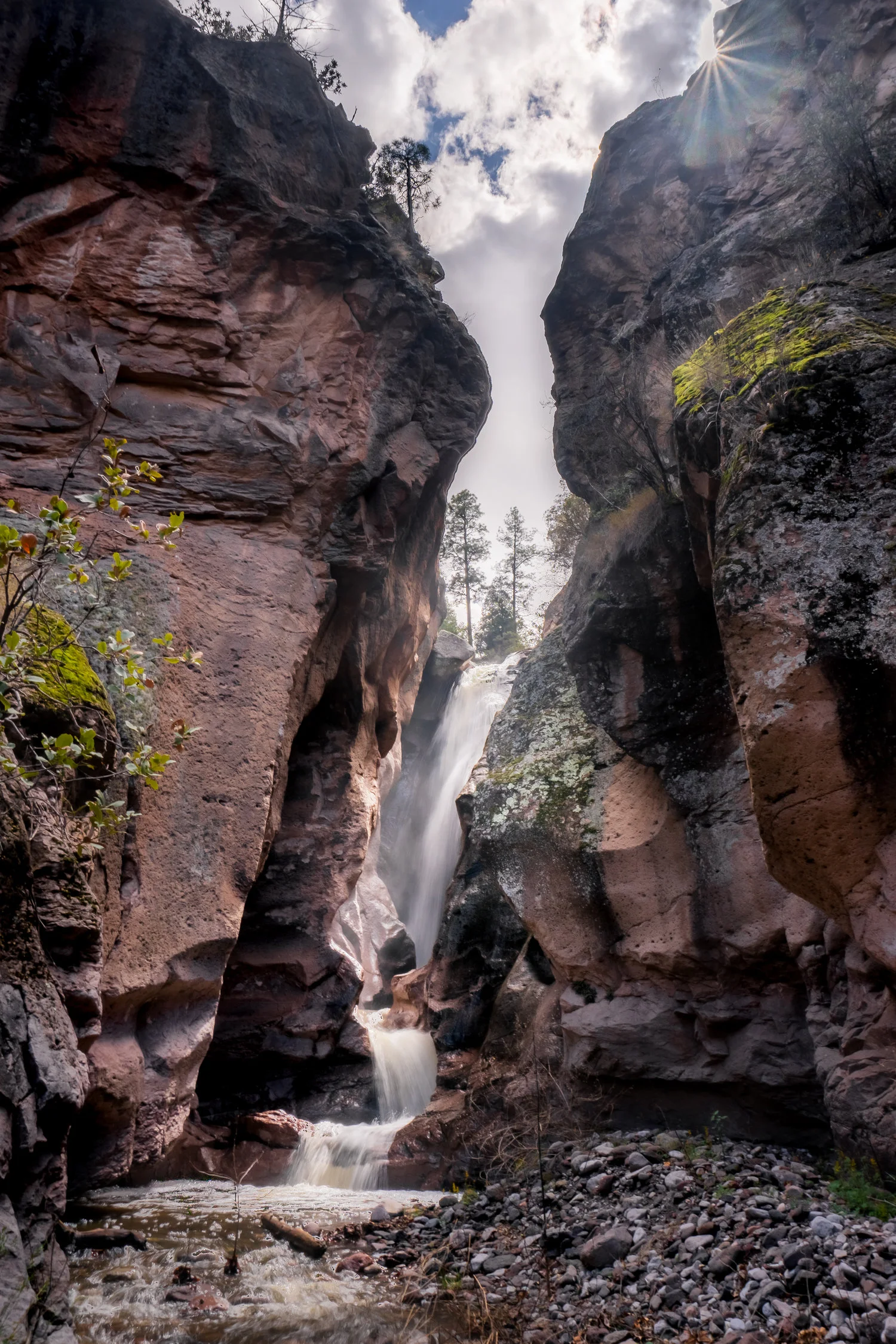 shelley cyn falls.jpg