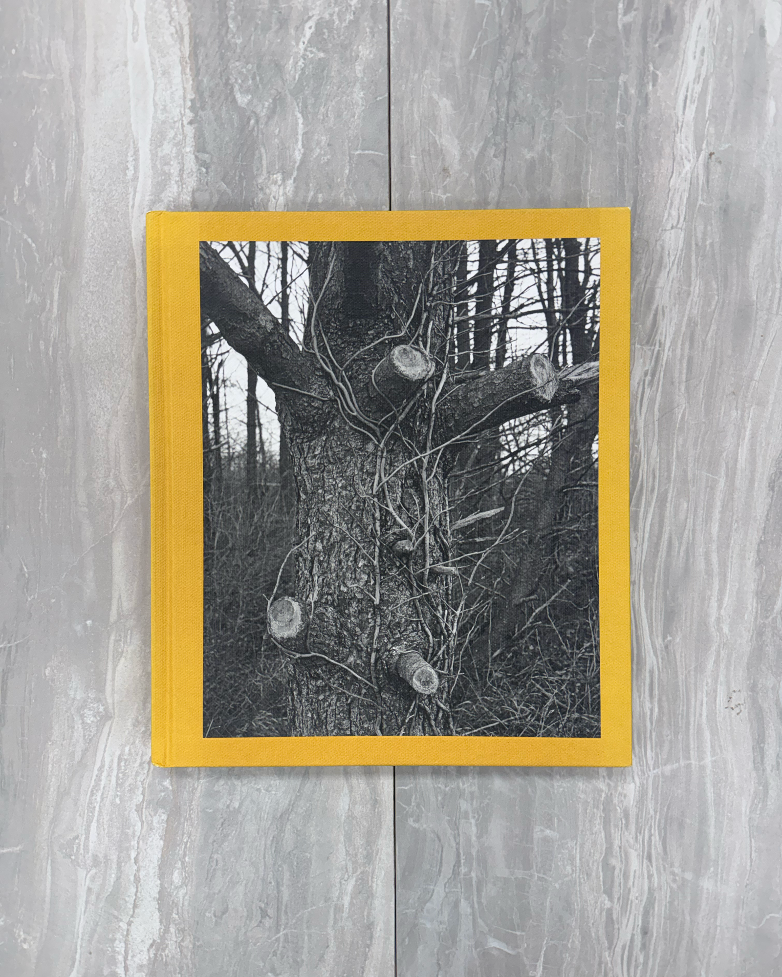 Christmas Day, Ducks Pond Road by Tim Carpenter