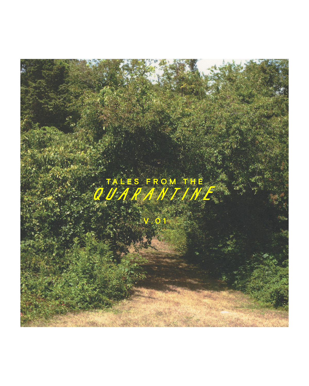 TFTQ V.01: Peter Treiber