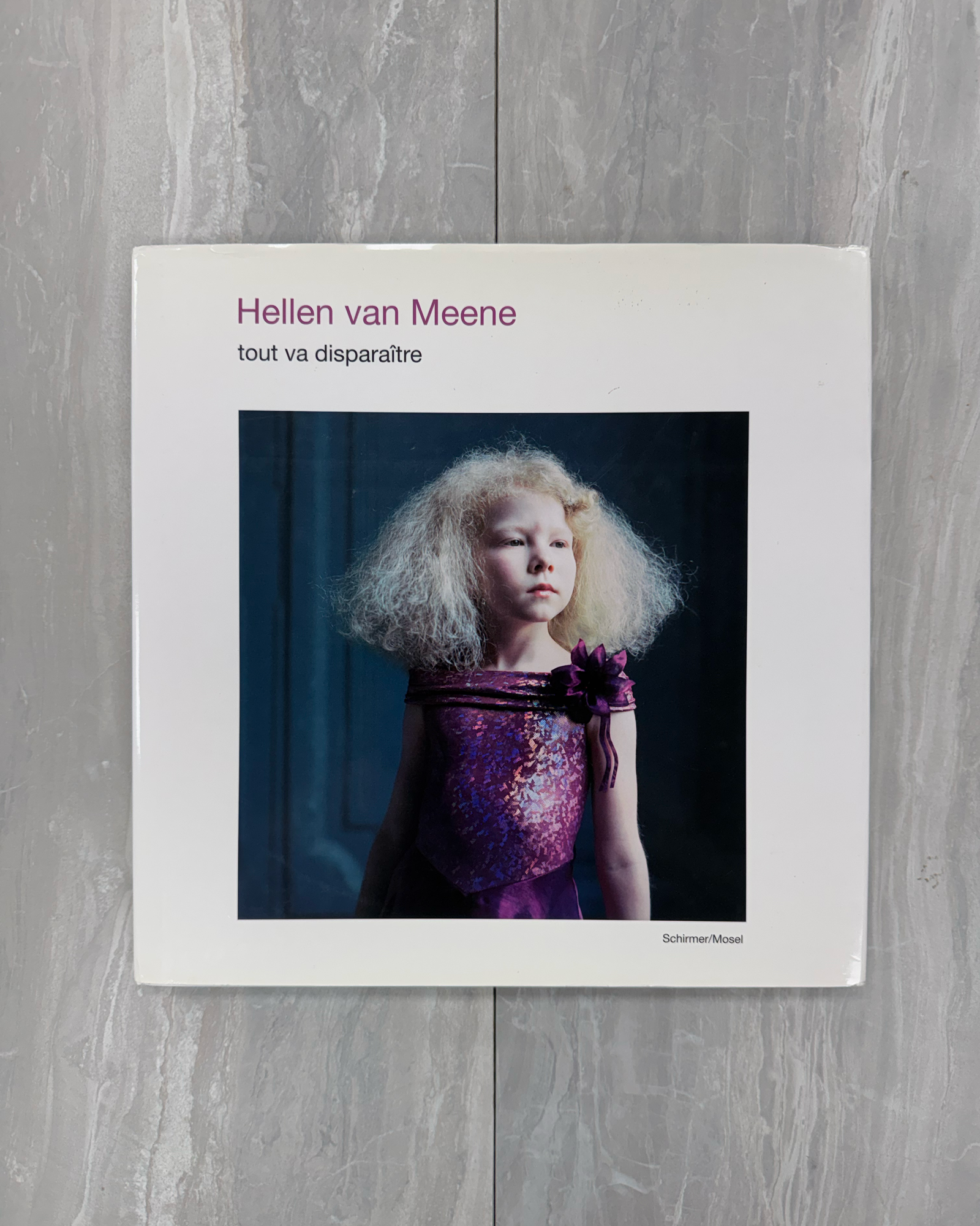 tout va disparaître by Hellen van Meene