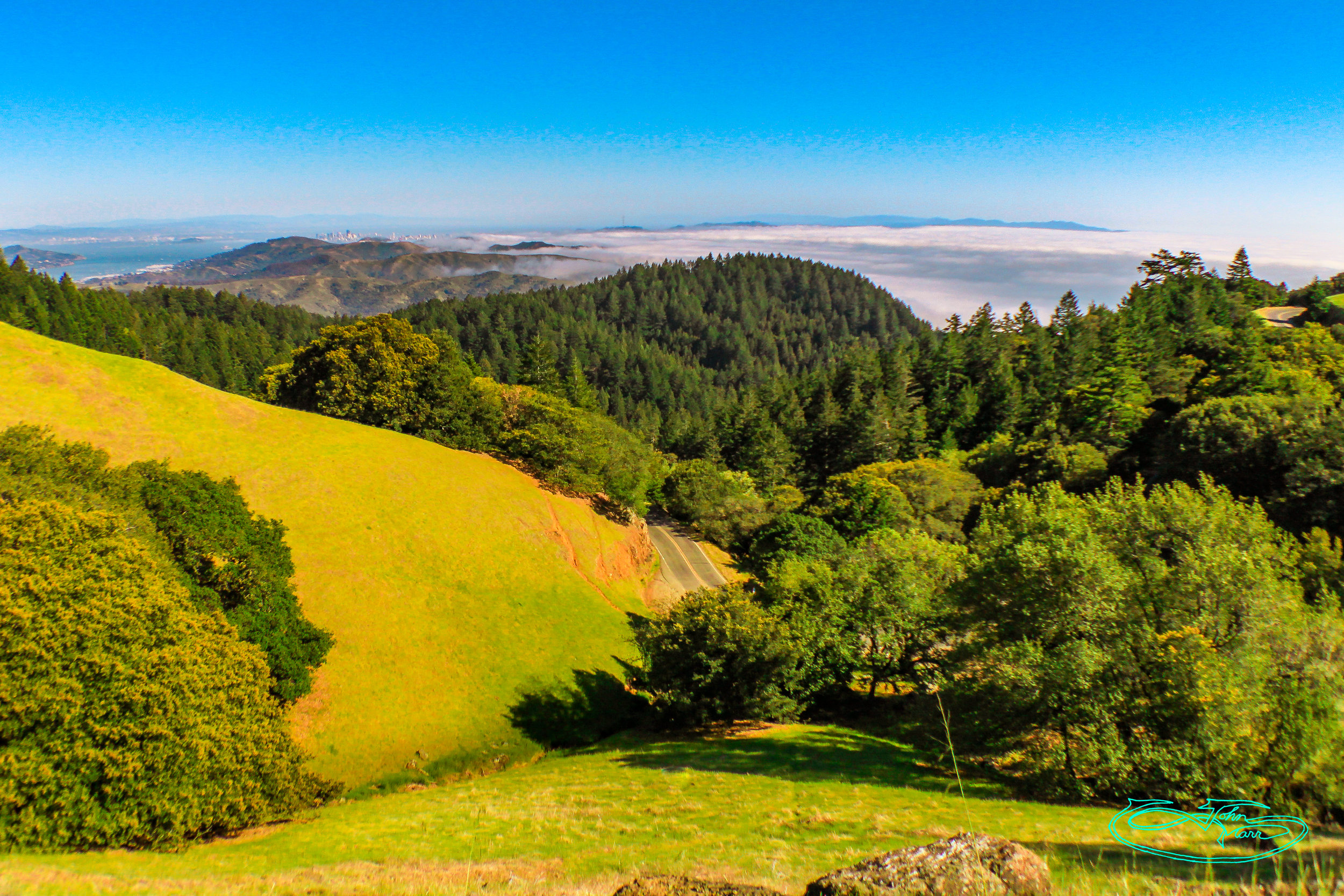 Mount Tamalpais State Park