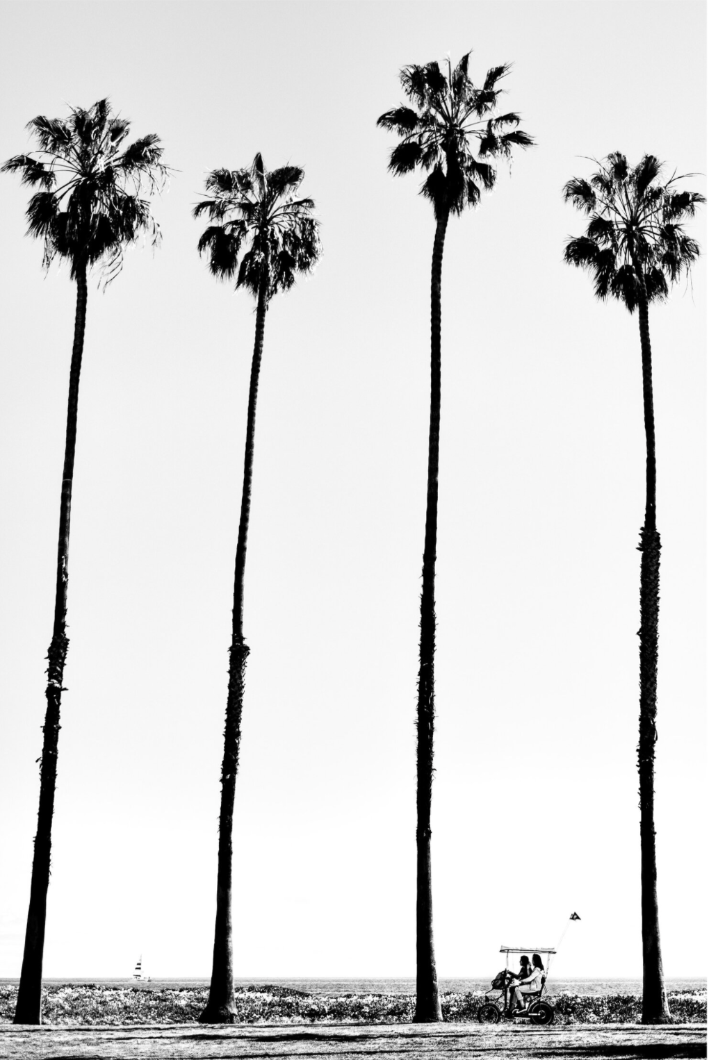 california dreaming.png