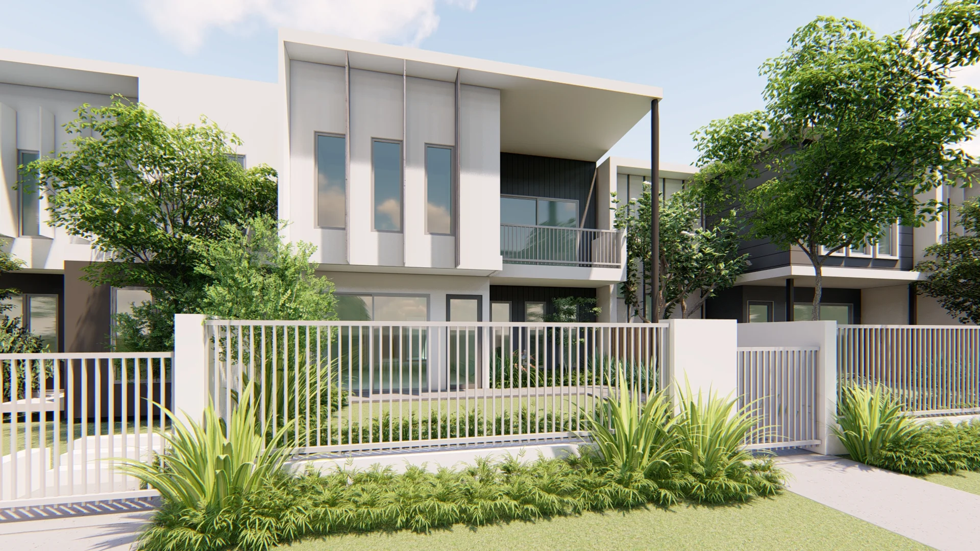 Hakea1.jpg