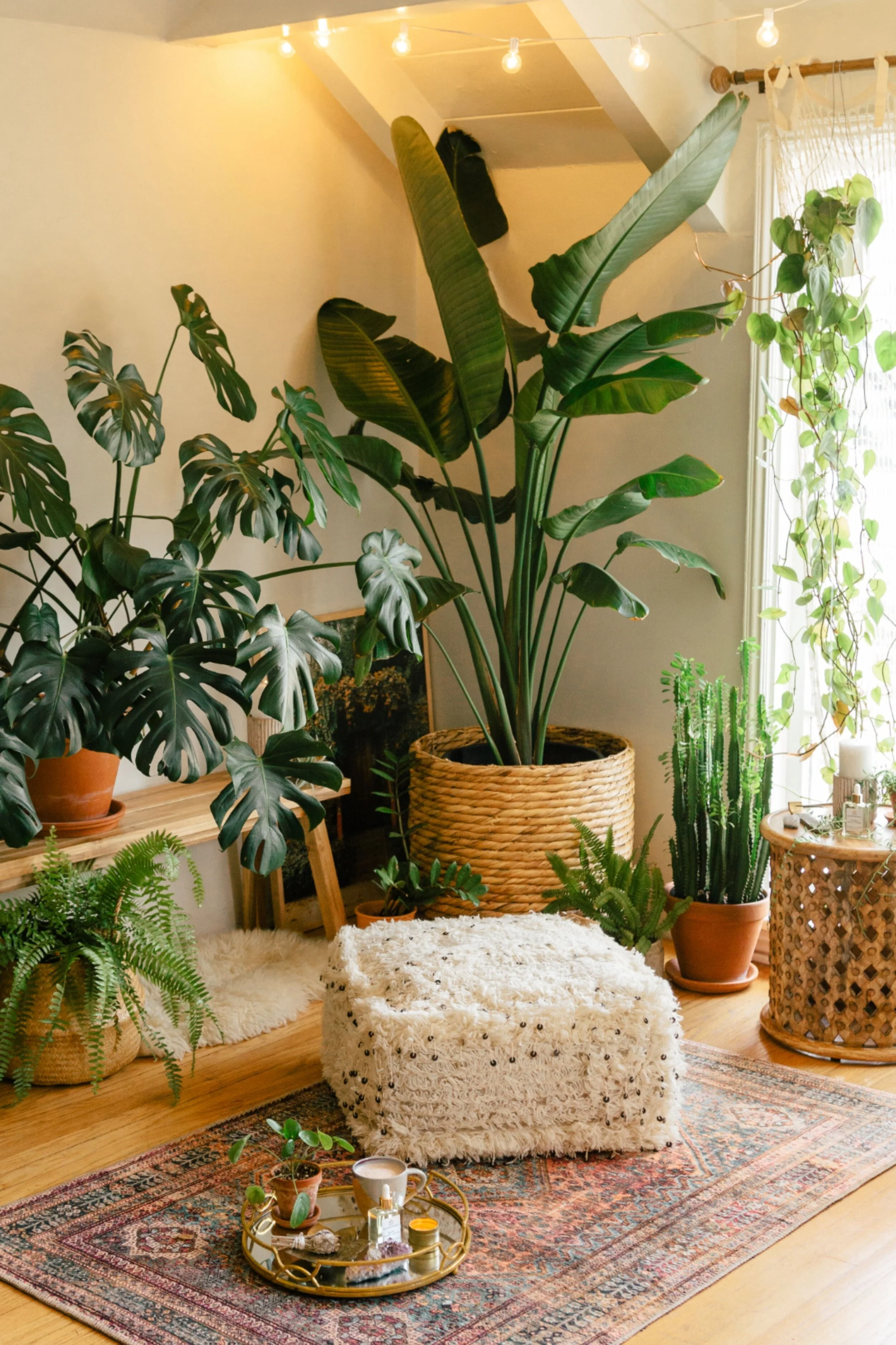 How To Keep Your Home Smelling Fresh — Burnett Bungalow