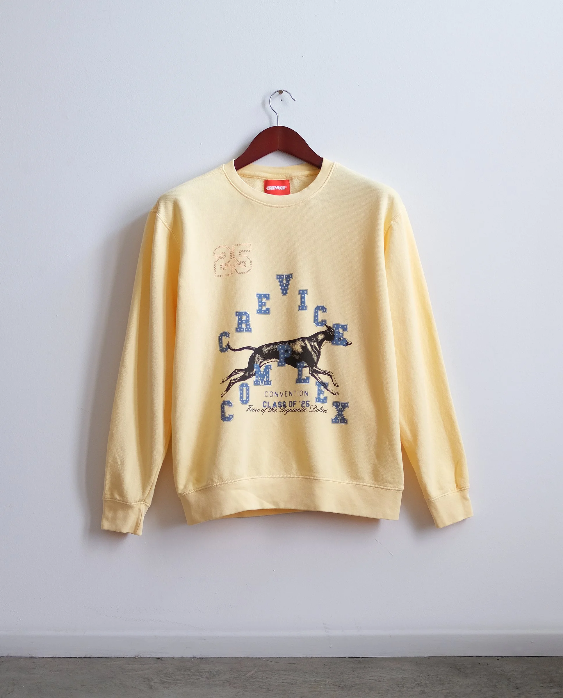 Crevice_Complex-Crewneck-Wall-Front.jpg