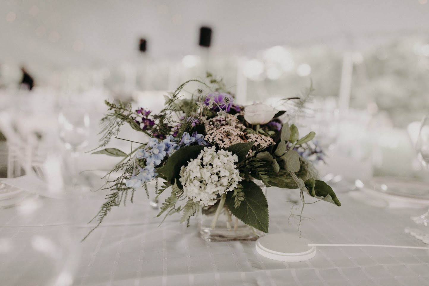 Rachel Rowland Photography.jpg