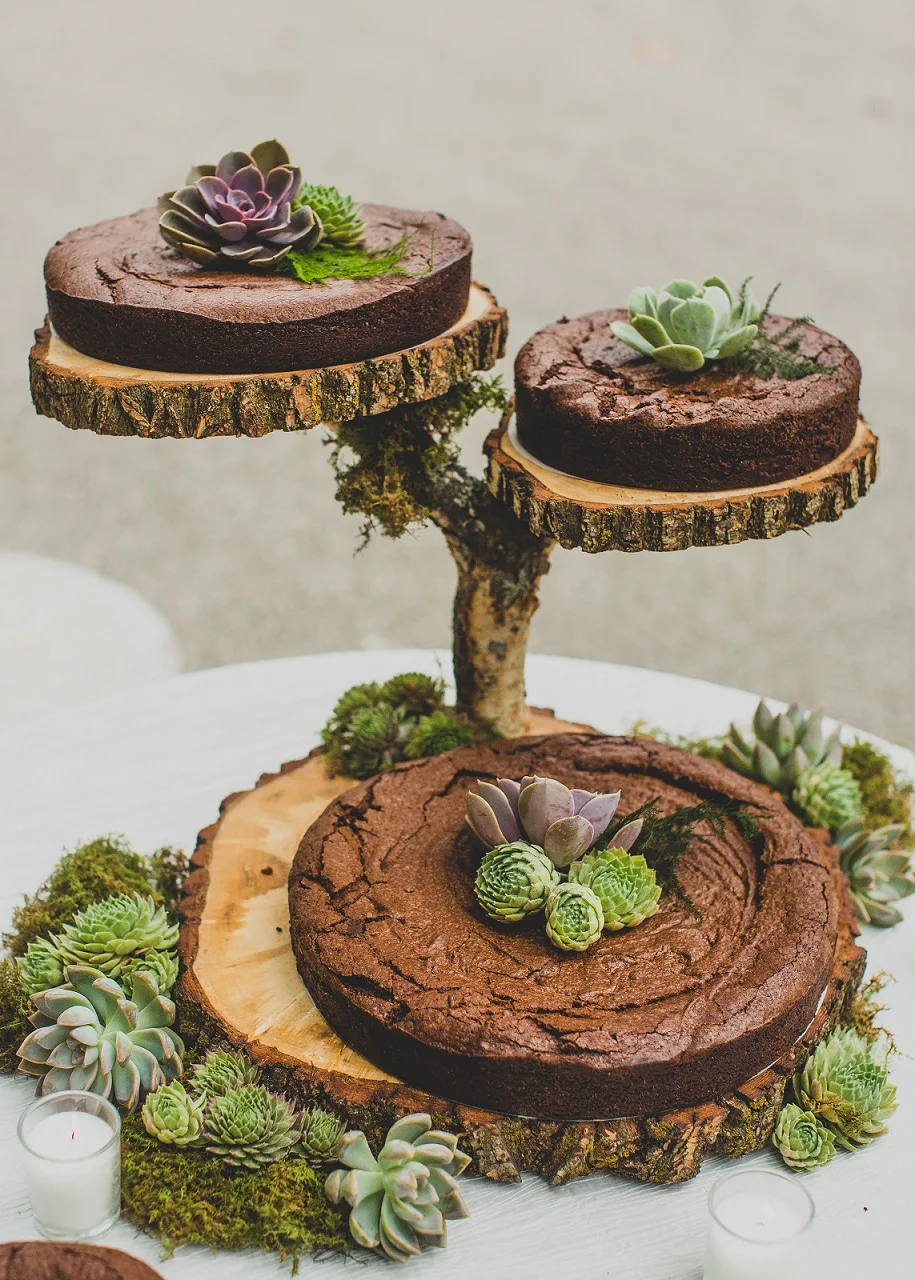 2015 09 19 Lauren Luke Wedding-004 Reception-0019.jpg