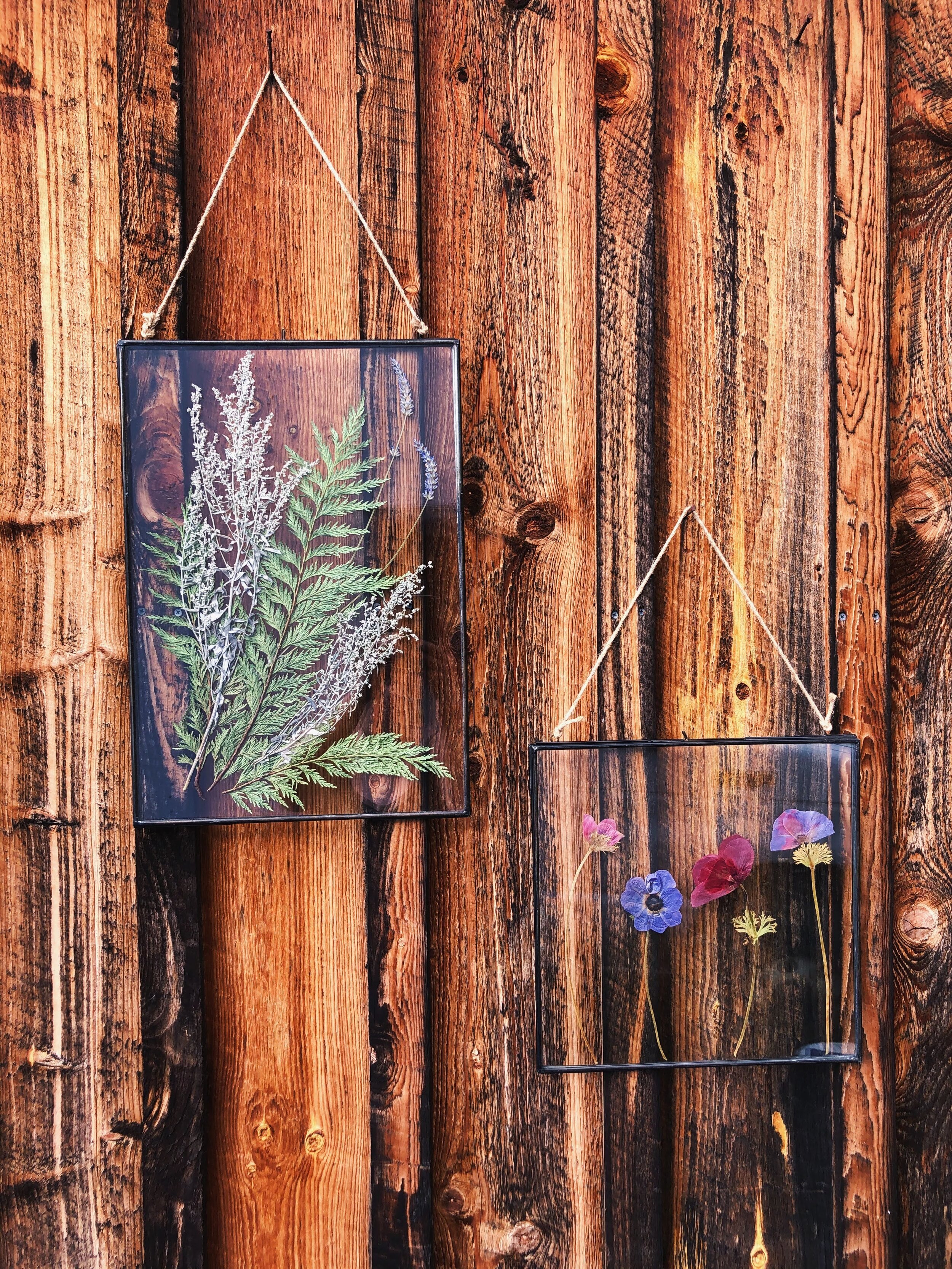 Pressed Flower Workshop