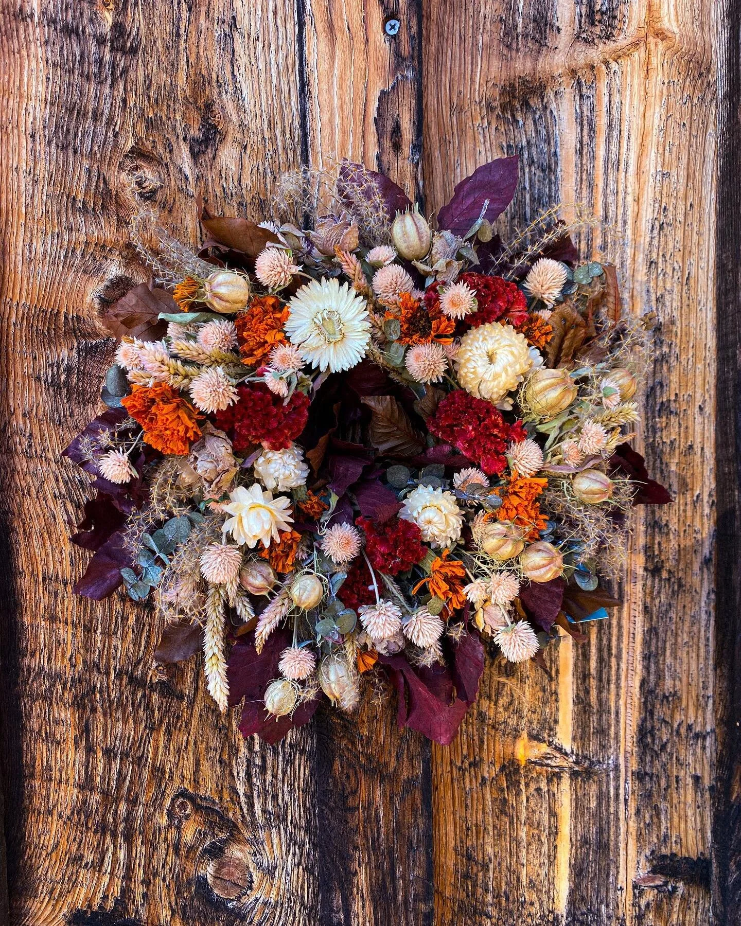Winter wreaths don&rsquo;t only have to be evergreen!

We have dried floral wreaths - including these colorful little beauties - back in stock in the Holiday Shop! Stop in and grab one until 3pm today!