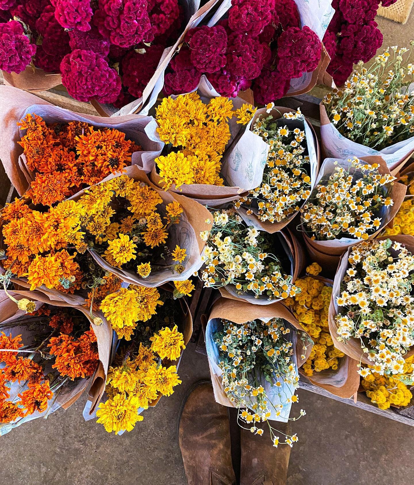 It&rsquo;s the last day of the Holiday Shop! Come visit us 10AM-3PM for 25% off ready made evergreen wreaths, swags, and garland, as well as all holiday plants and ornaments! 
We have some great last minute gifts highlighted in our stories too!