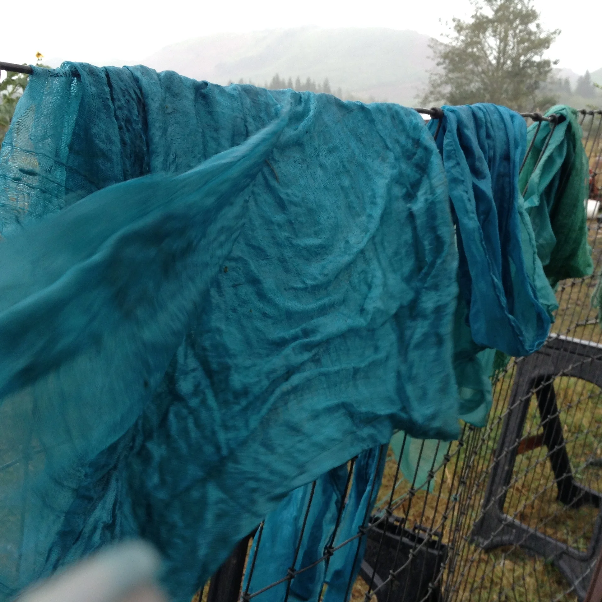I've got the Fresh Indigo Blues... And I feel fine.
