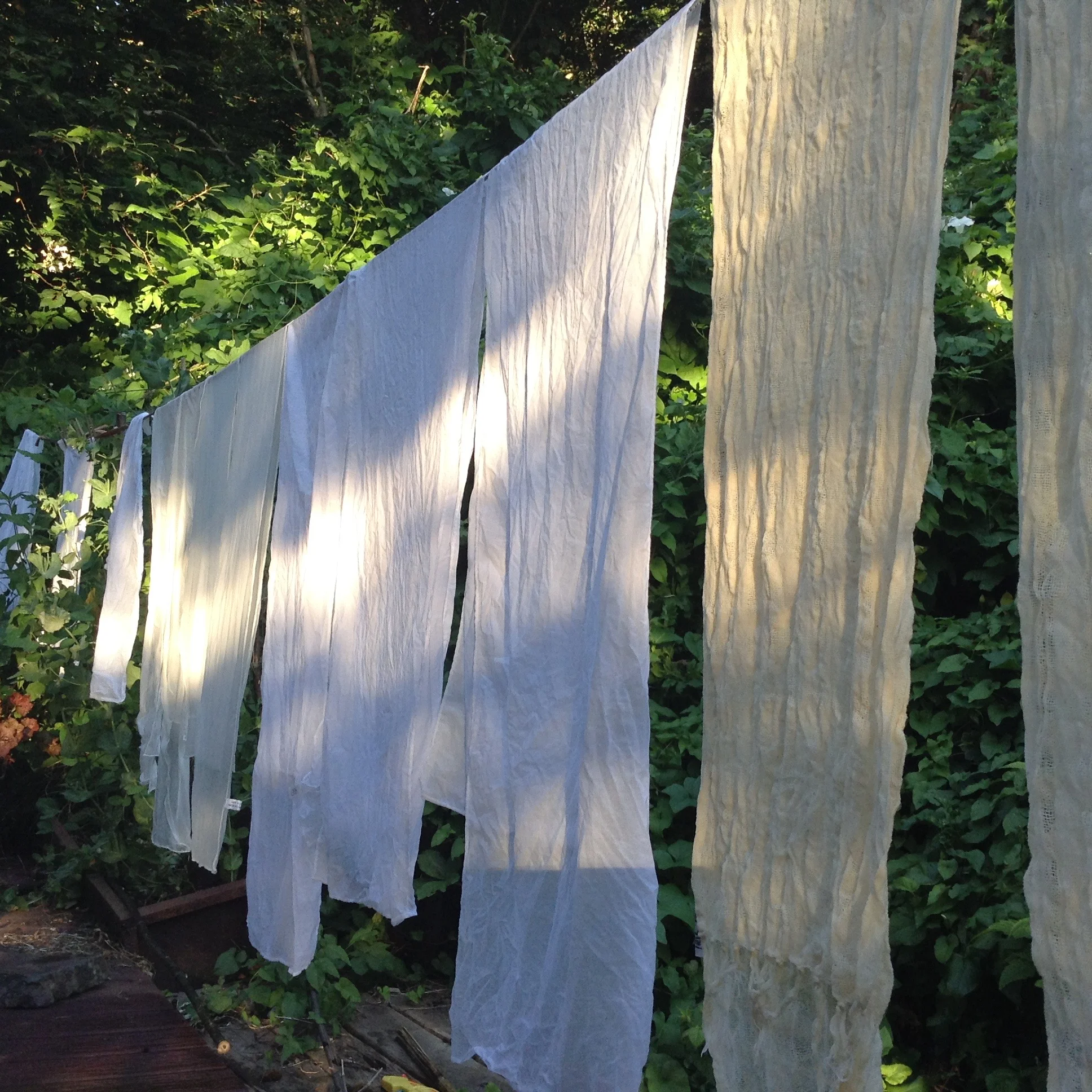 A yard filled with silk