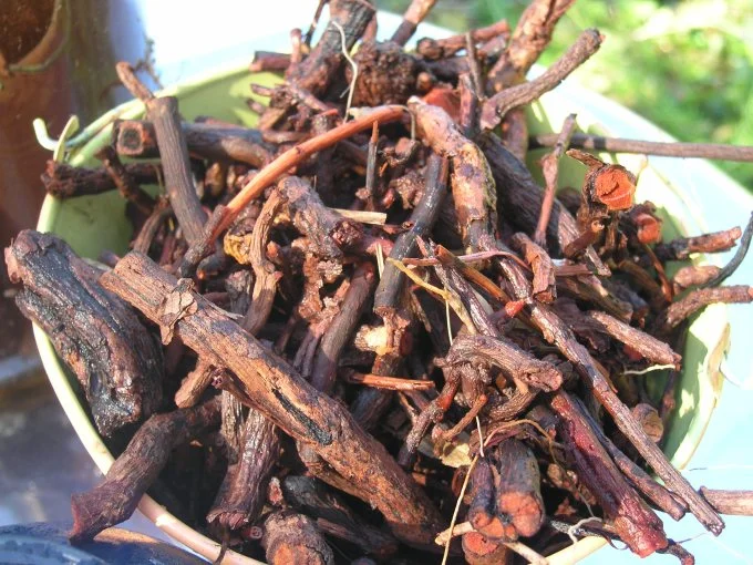 madder root before soaking