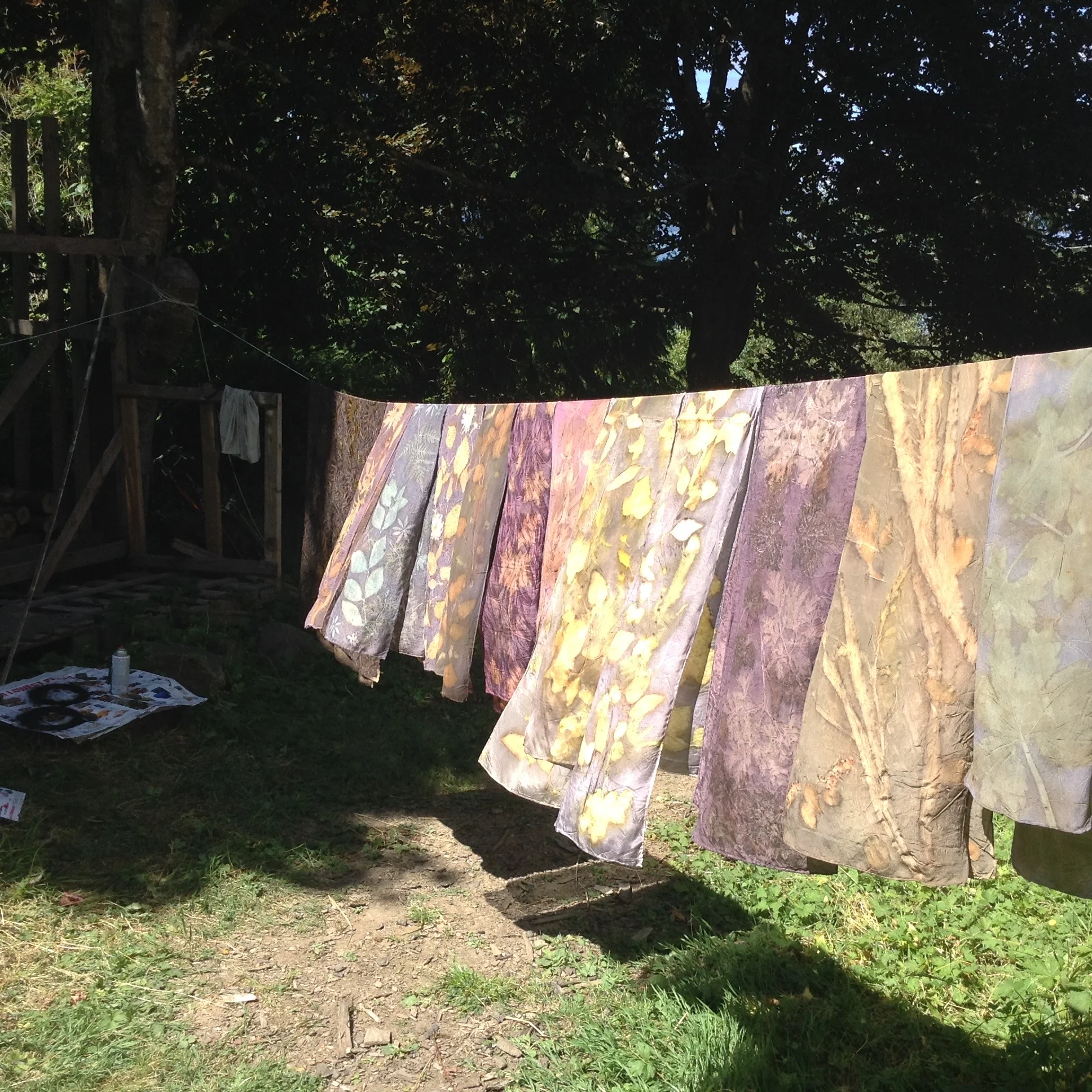 Hanging the silk on the line is very gratifying – the sun illuminates them until they glow.