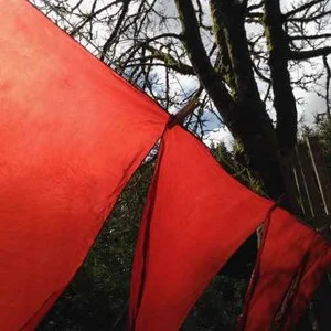 Queen Madder Red on Silk