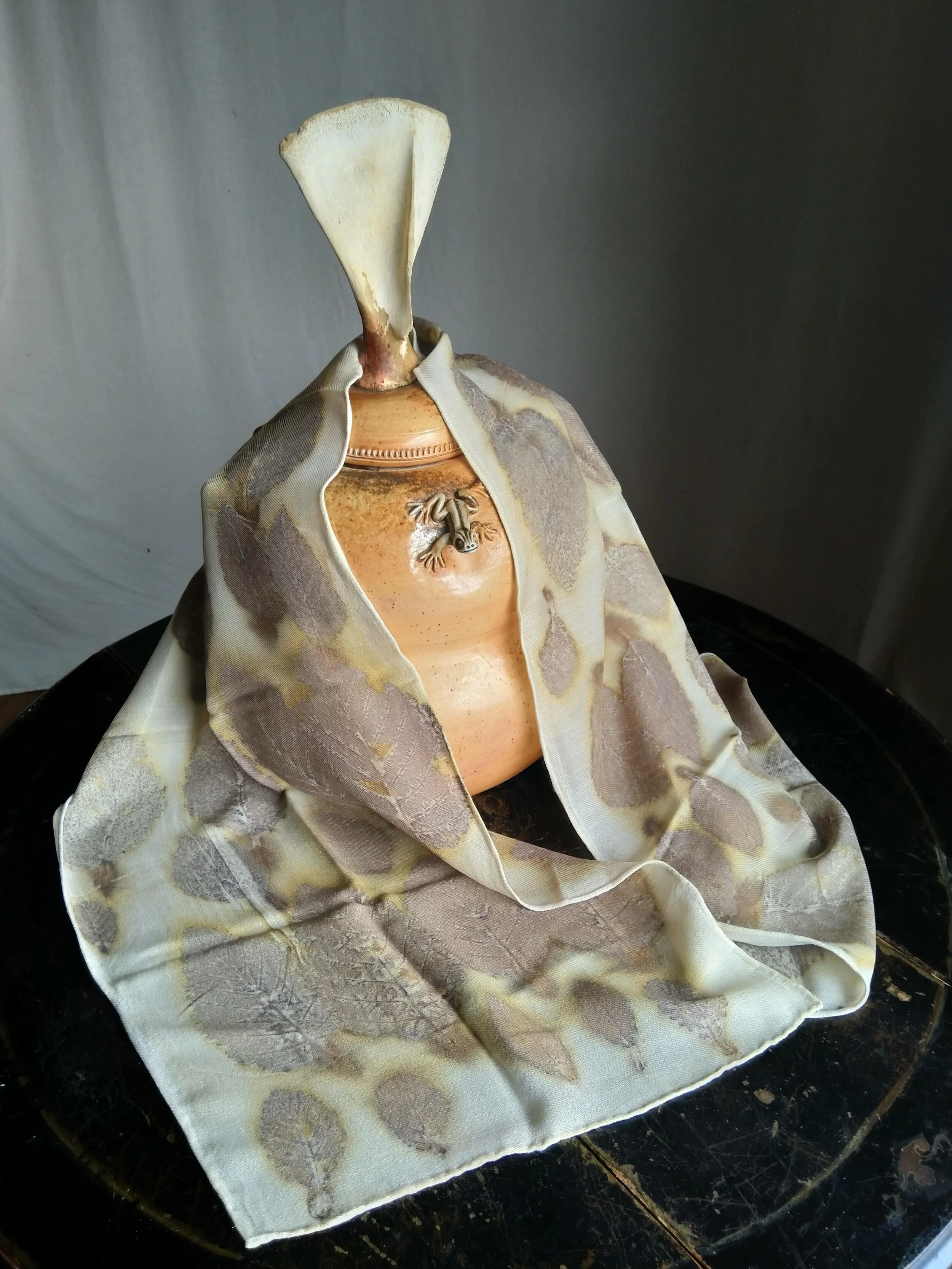 Red Alder Plant Portrait