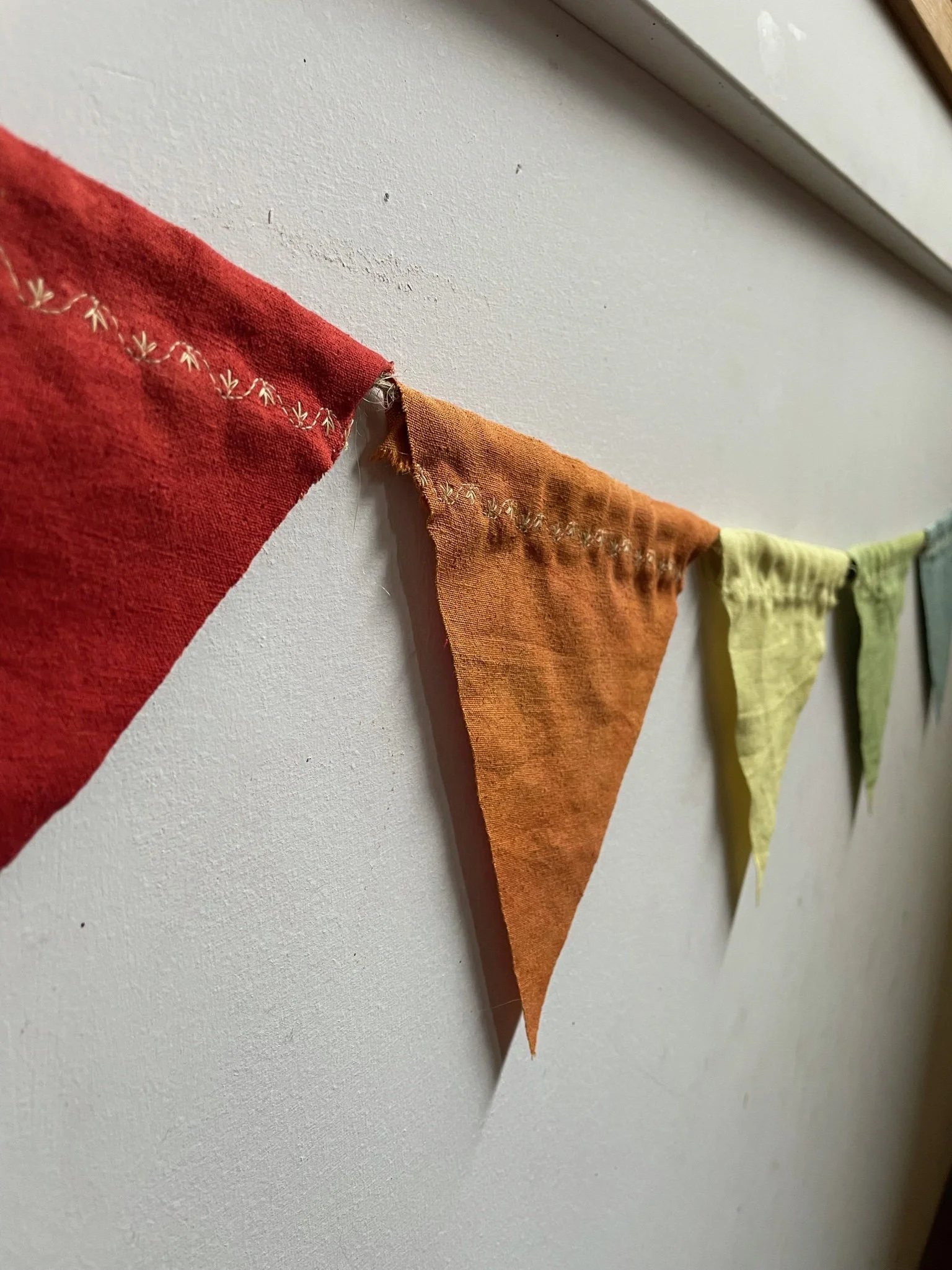 Rainbow Bunting