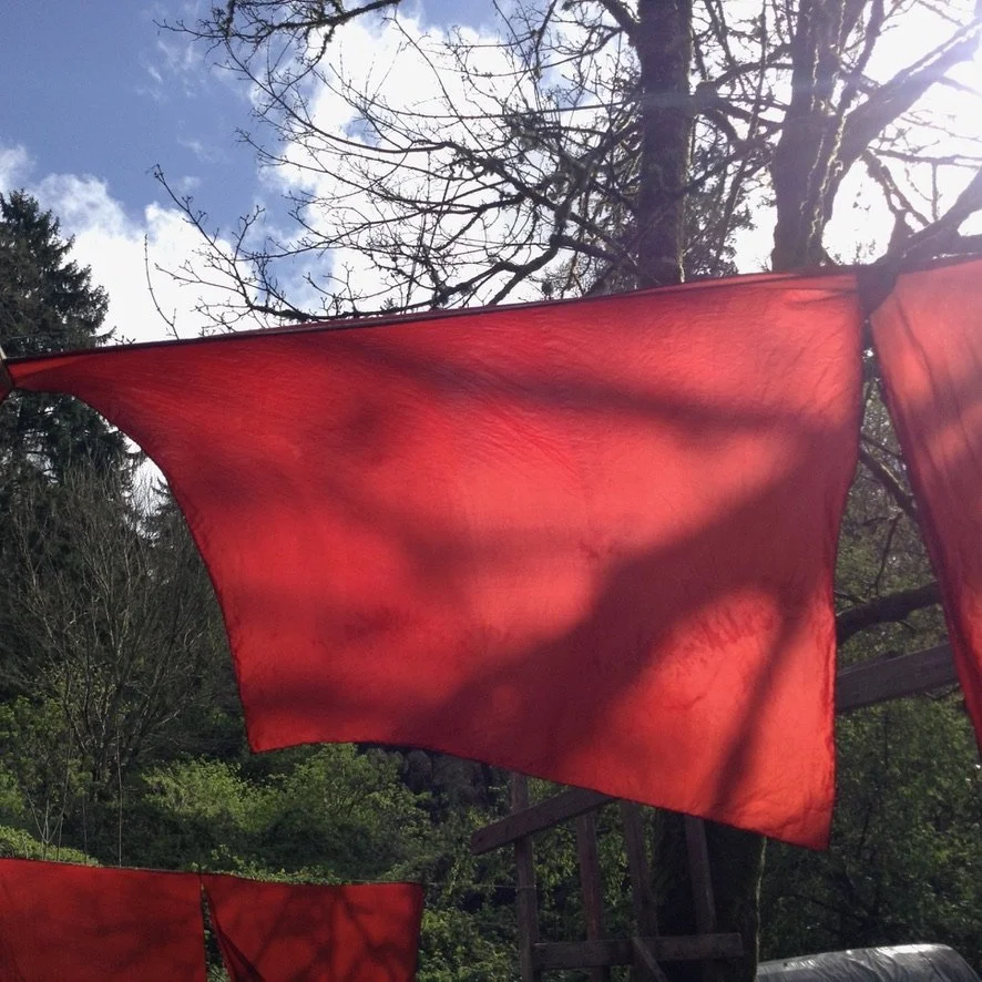 Red Moon Eclipse Silks