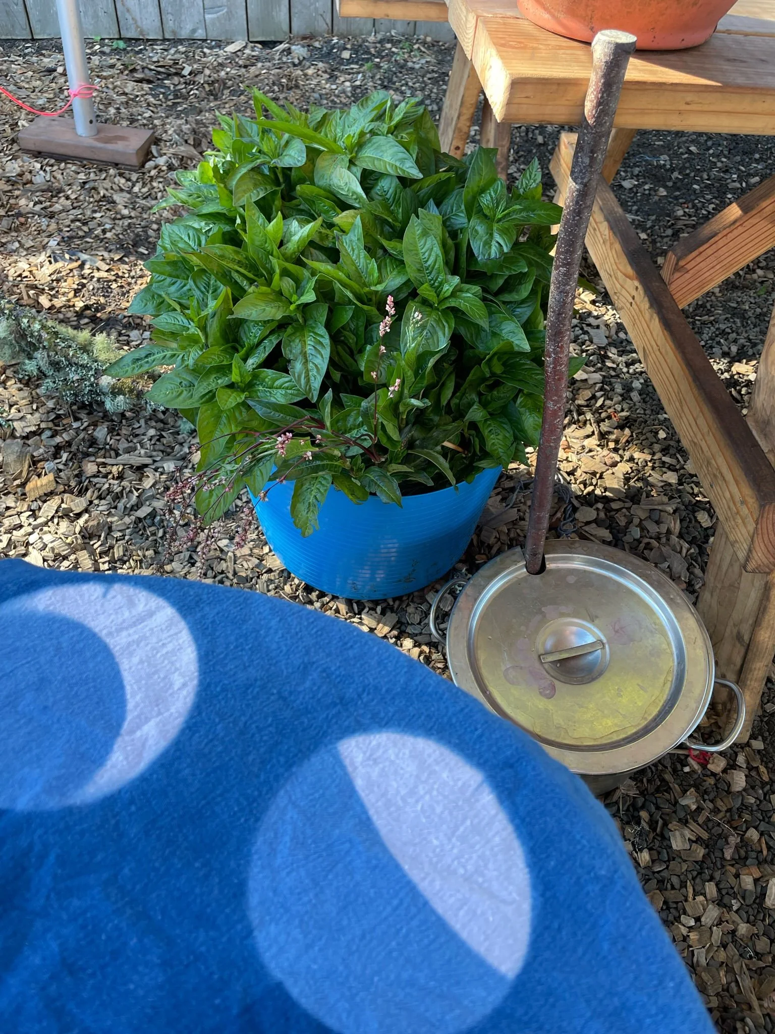 IndigoFest 3.0 - Sou'Wester Lodge Seaview Washington