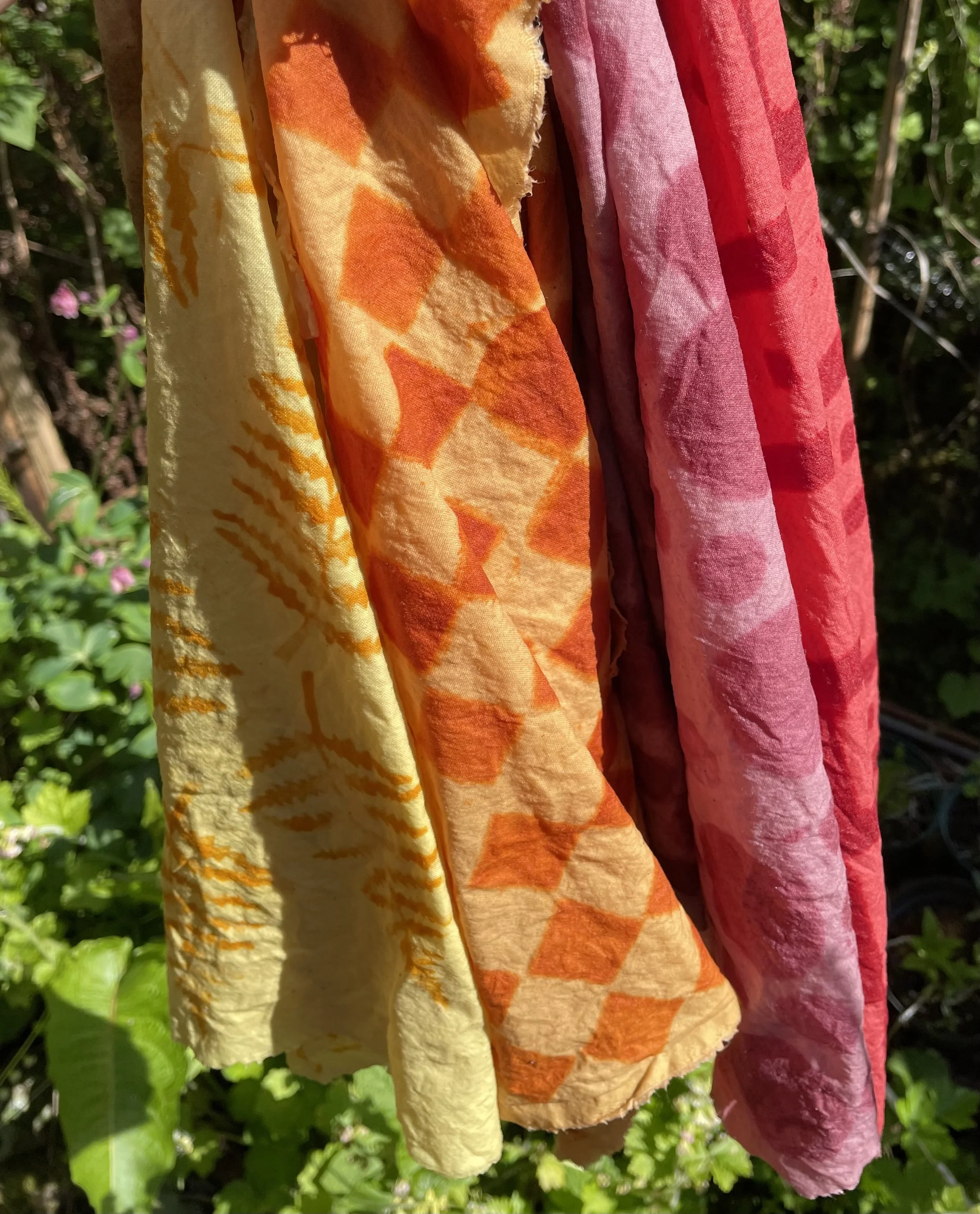 Rainbow Rodeo at Tiny T Ranch