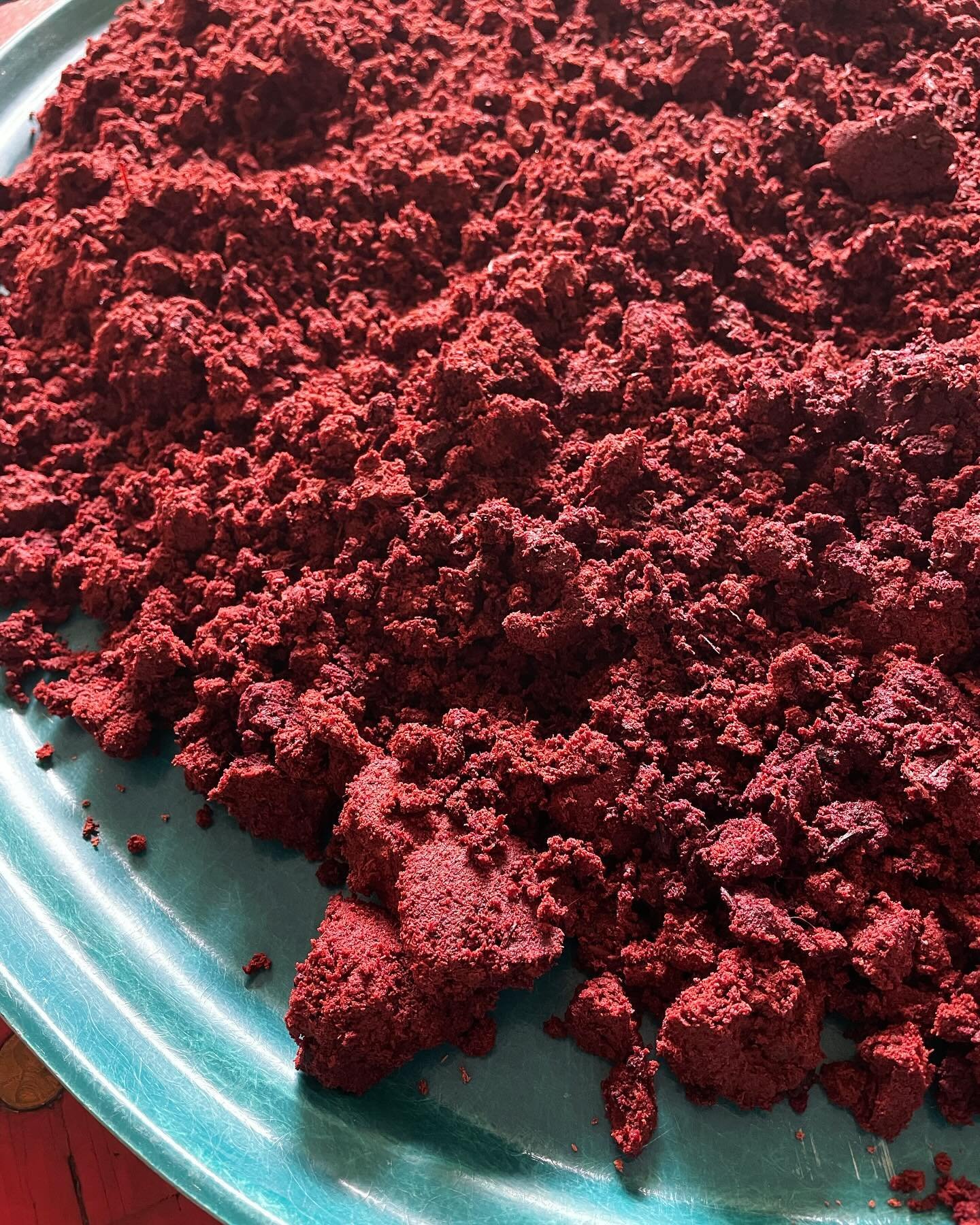 Drying a whole lotta madder root sawdust. This was first used to dye fabric, and then to create lake pigment. 

&hellip;and still bright red. The queen is amazing. 

After being dried this will find its way into a collaborative art exhibition which w