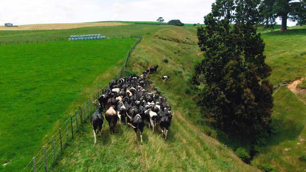 Agriculture.jpg