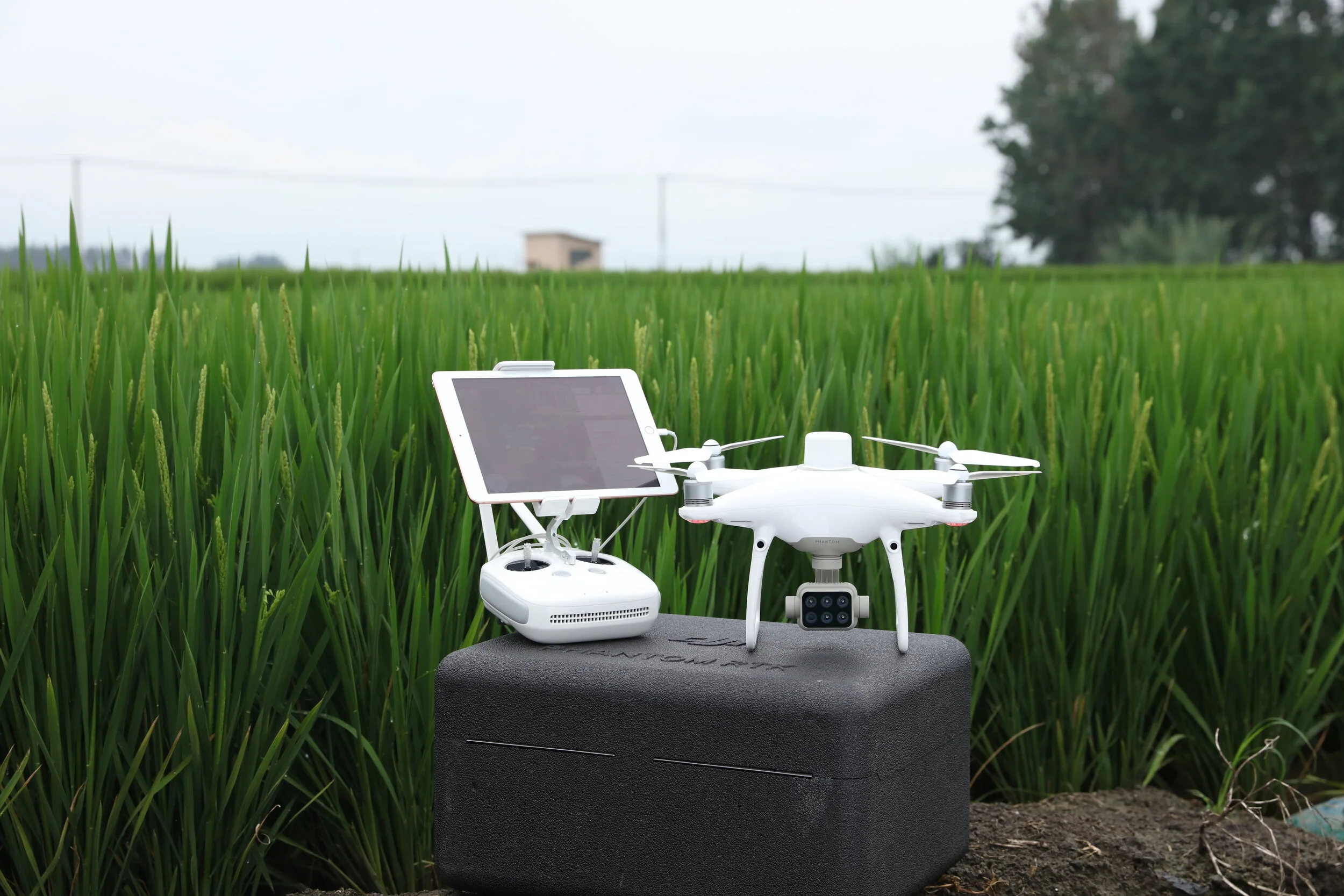 P4M_Outdoor Shooting_04.JPG